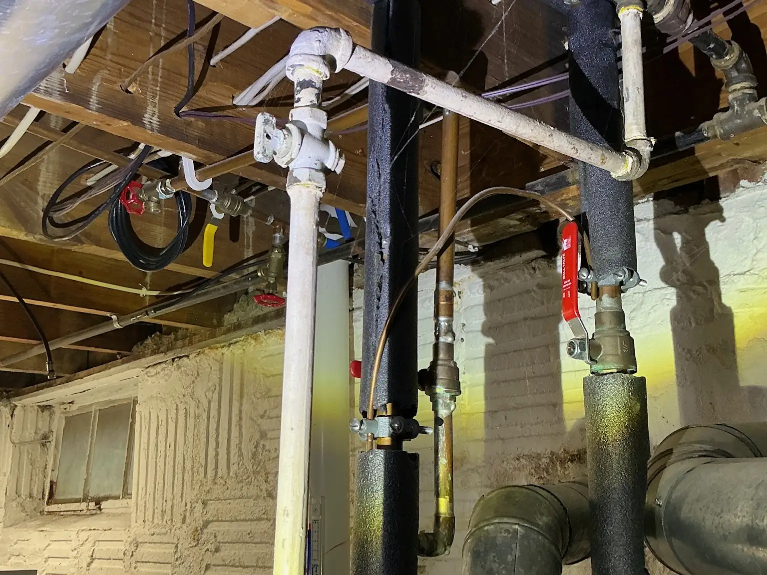 Mold found during a home inspection in Detroit Shoreway.