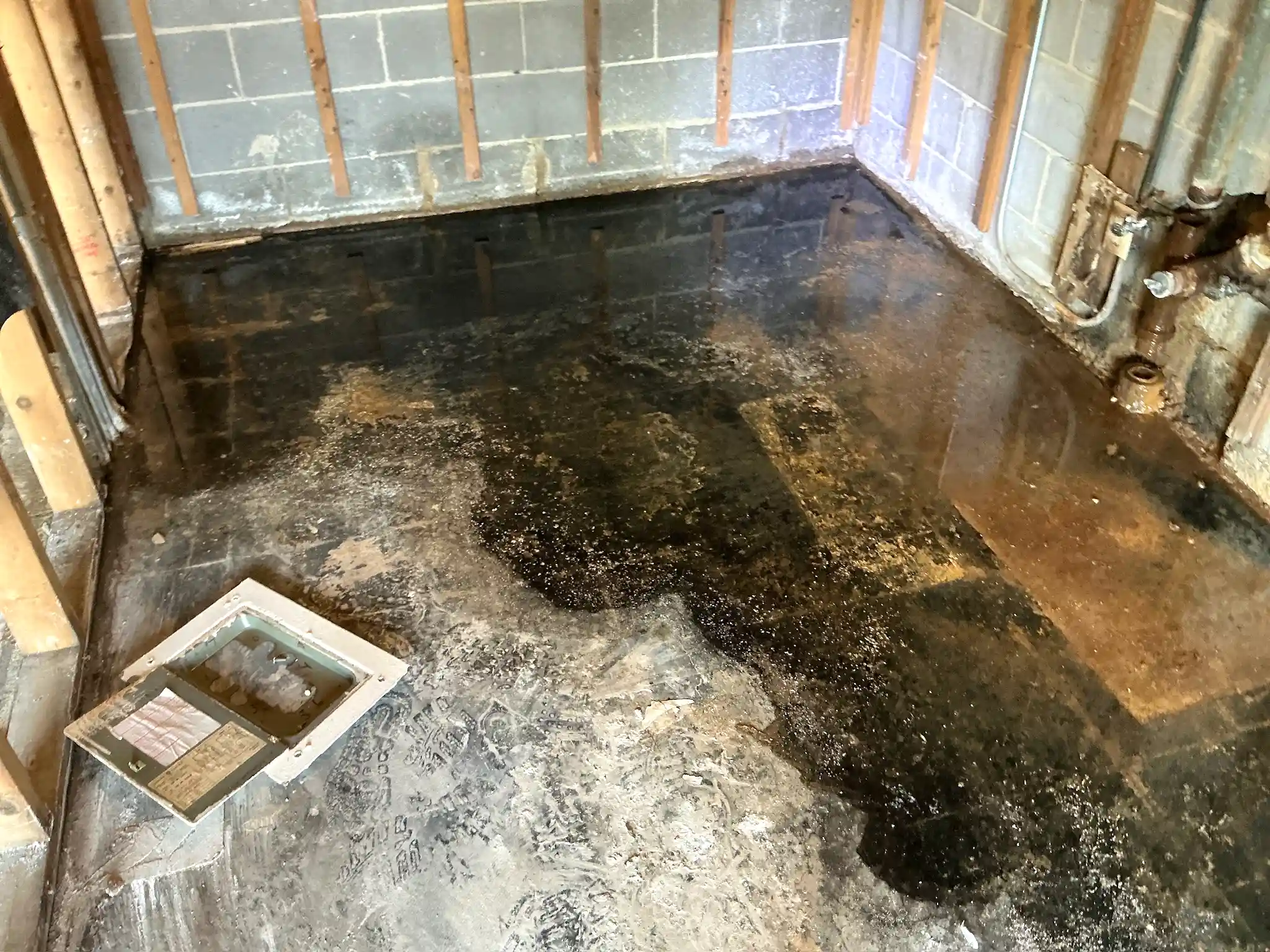 Mold inspection in Dublin.