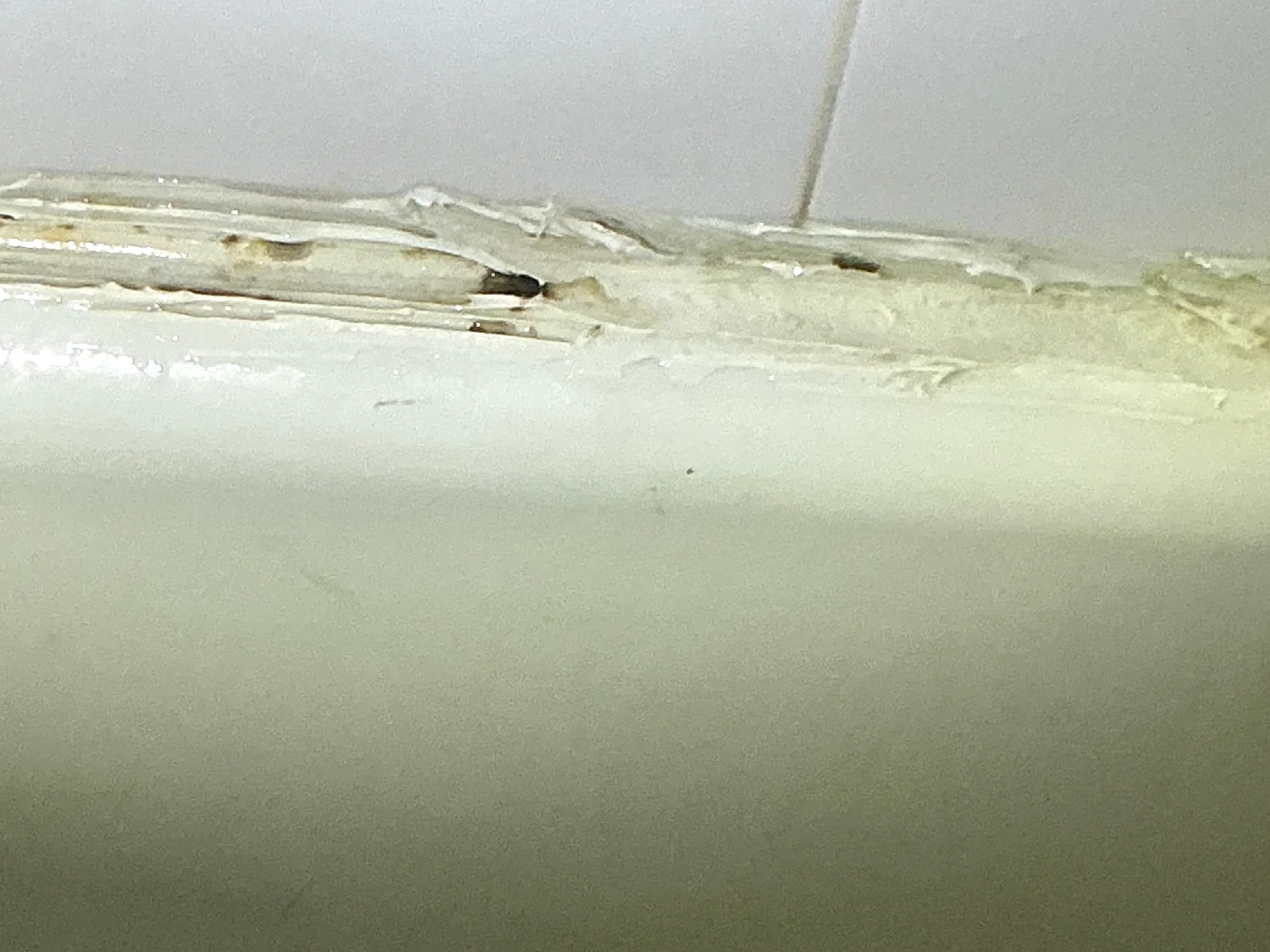 Our mold inspector found this surface mold in Dublin.
