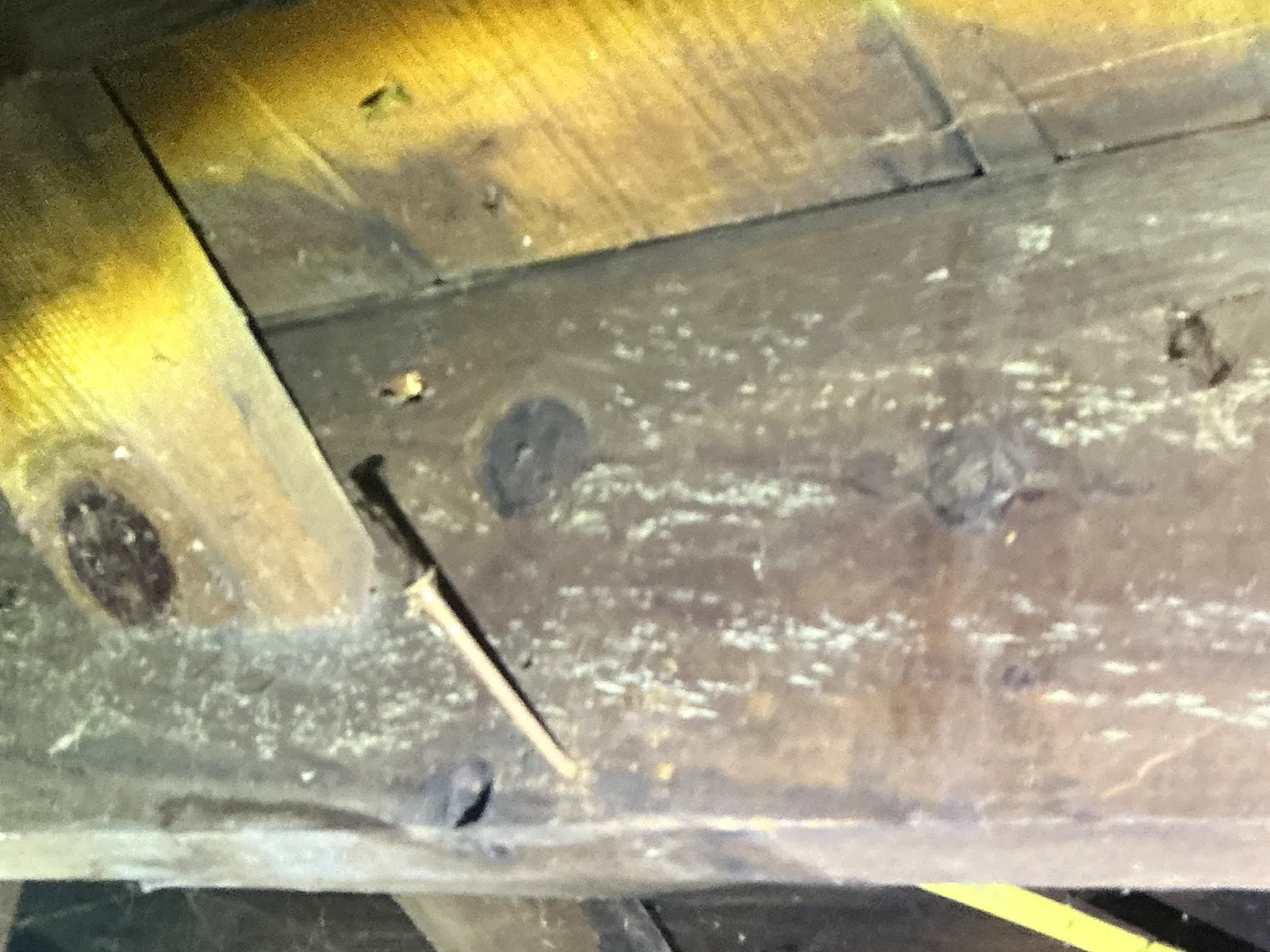 Mold found during a home inspection in Dublin.