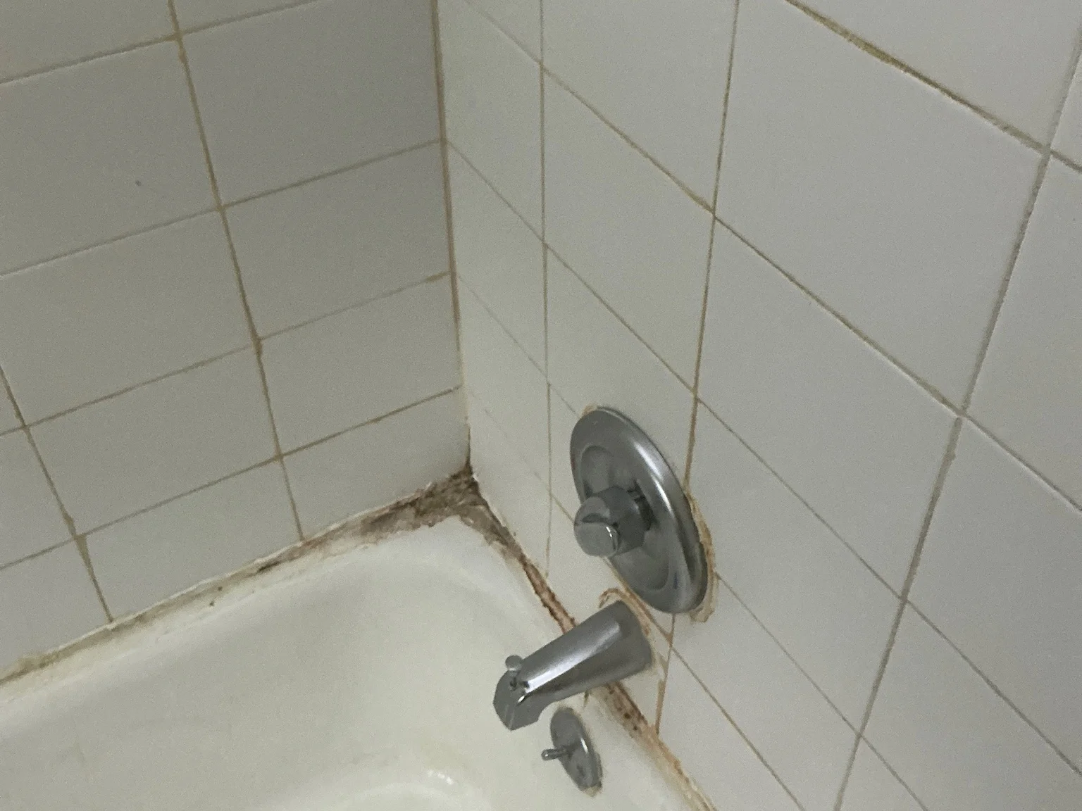 Look at what our mold inspector found in East Cleveland..