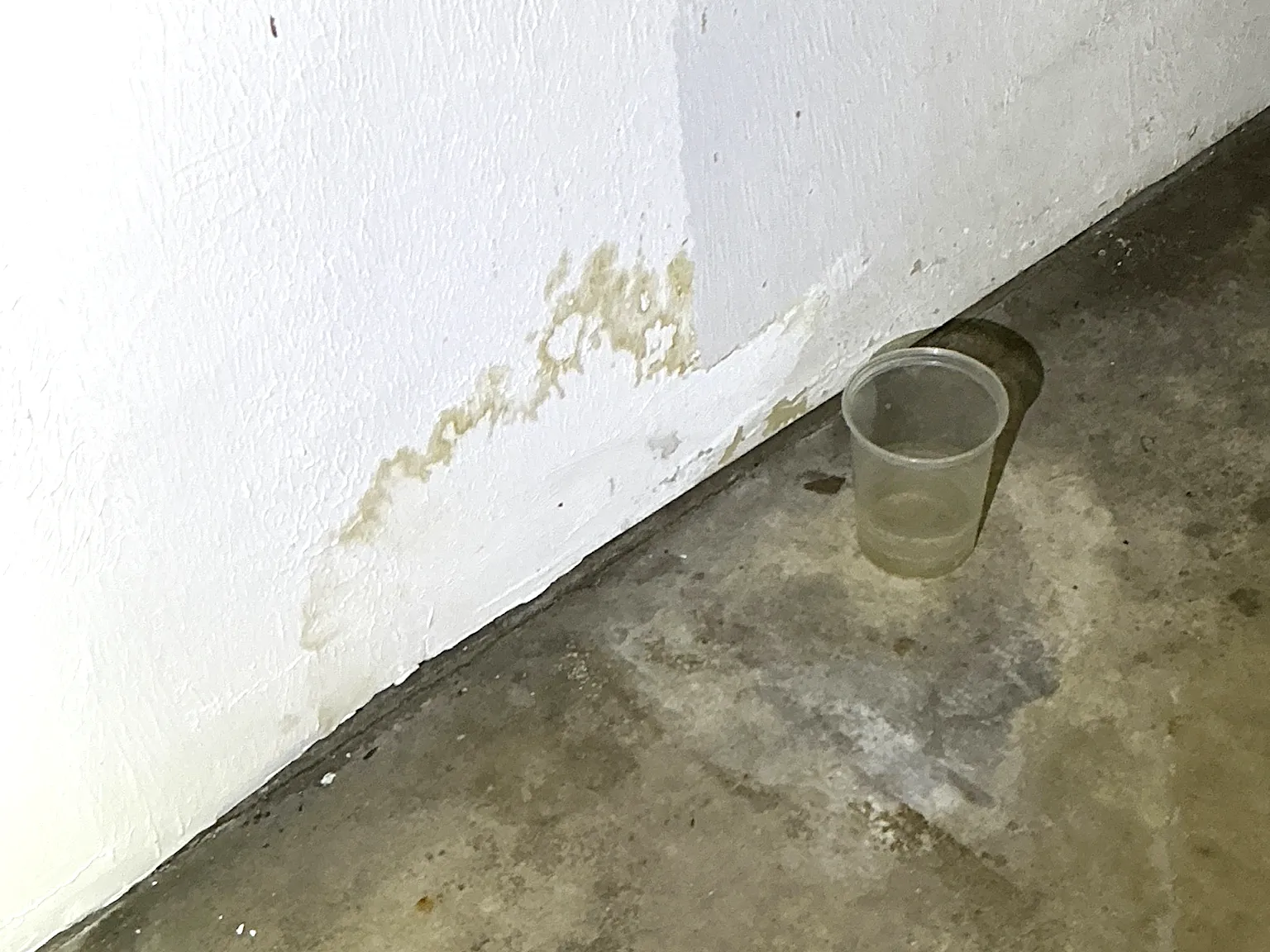 Our mold inspector found this surface mold in East Cleveland.