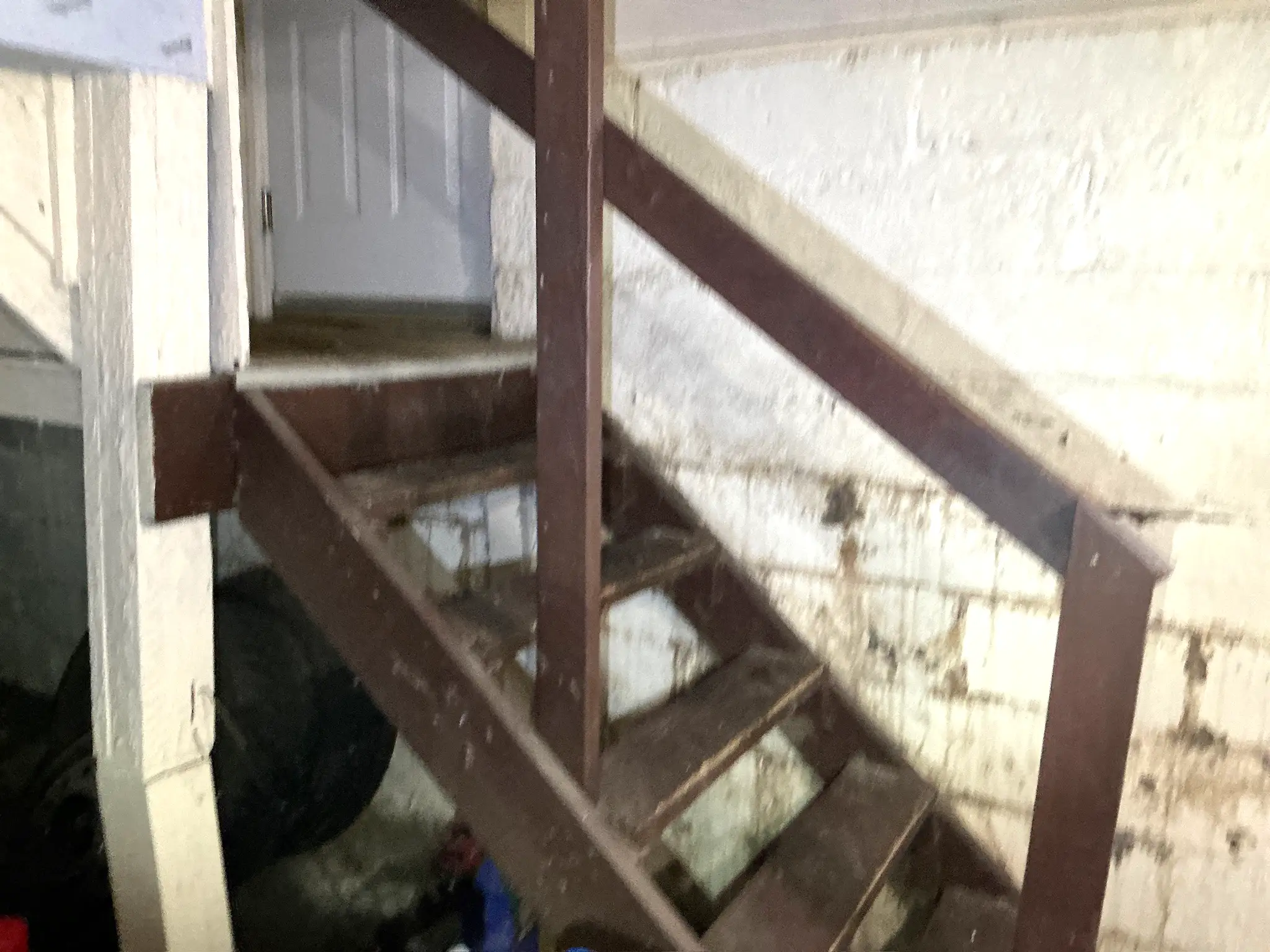 Mold found during a home inspection in East Cleveland.