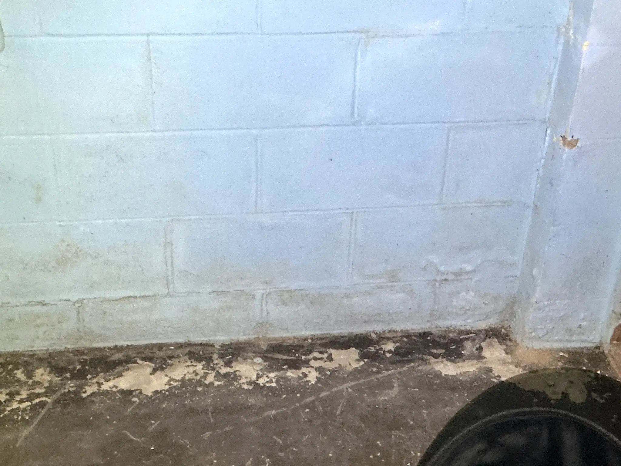Mold found during a commercial mold inspection in East Cleveland.