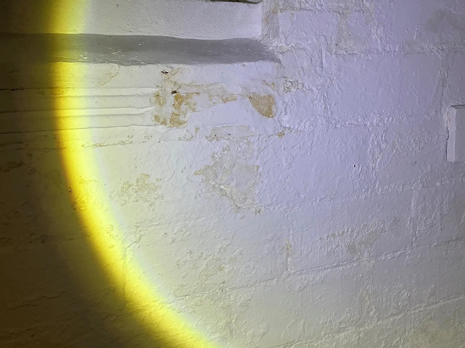 Mold found on a surface during an inspection in Eastlake.