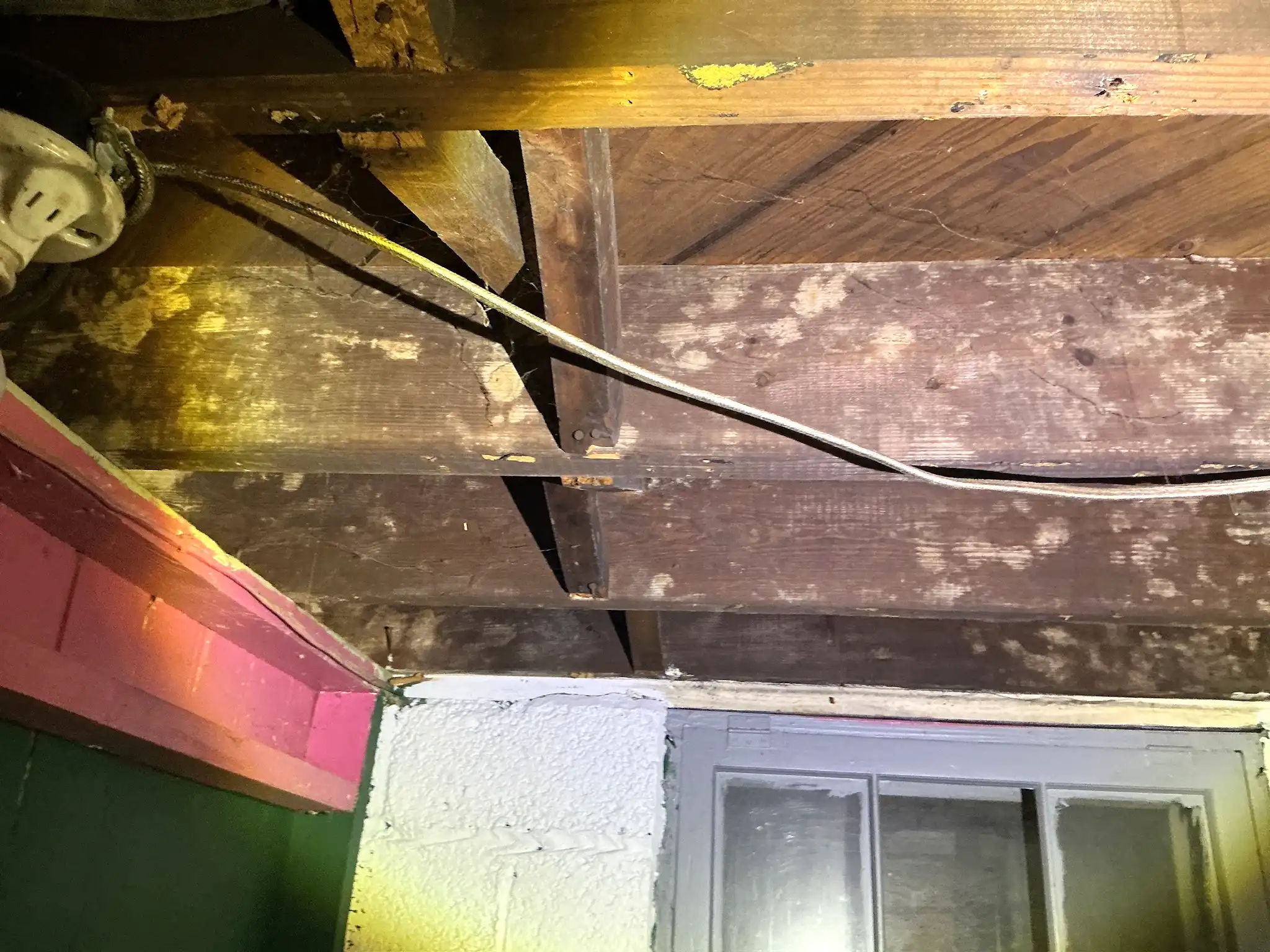 Mold inspection in Eastlake.