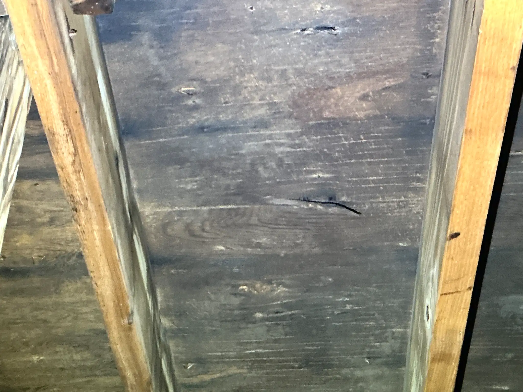 Our mold inspector found this surface mold in Eastlake.