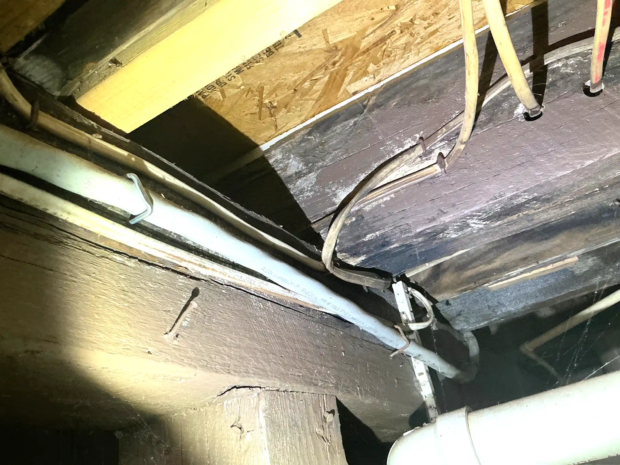 Mold found during a home inspection in Eastlake.
