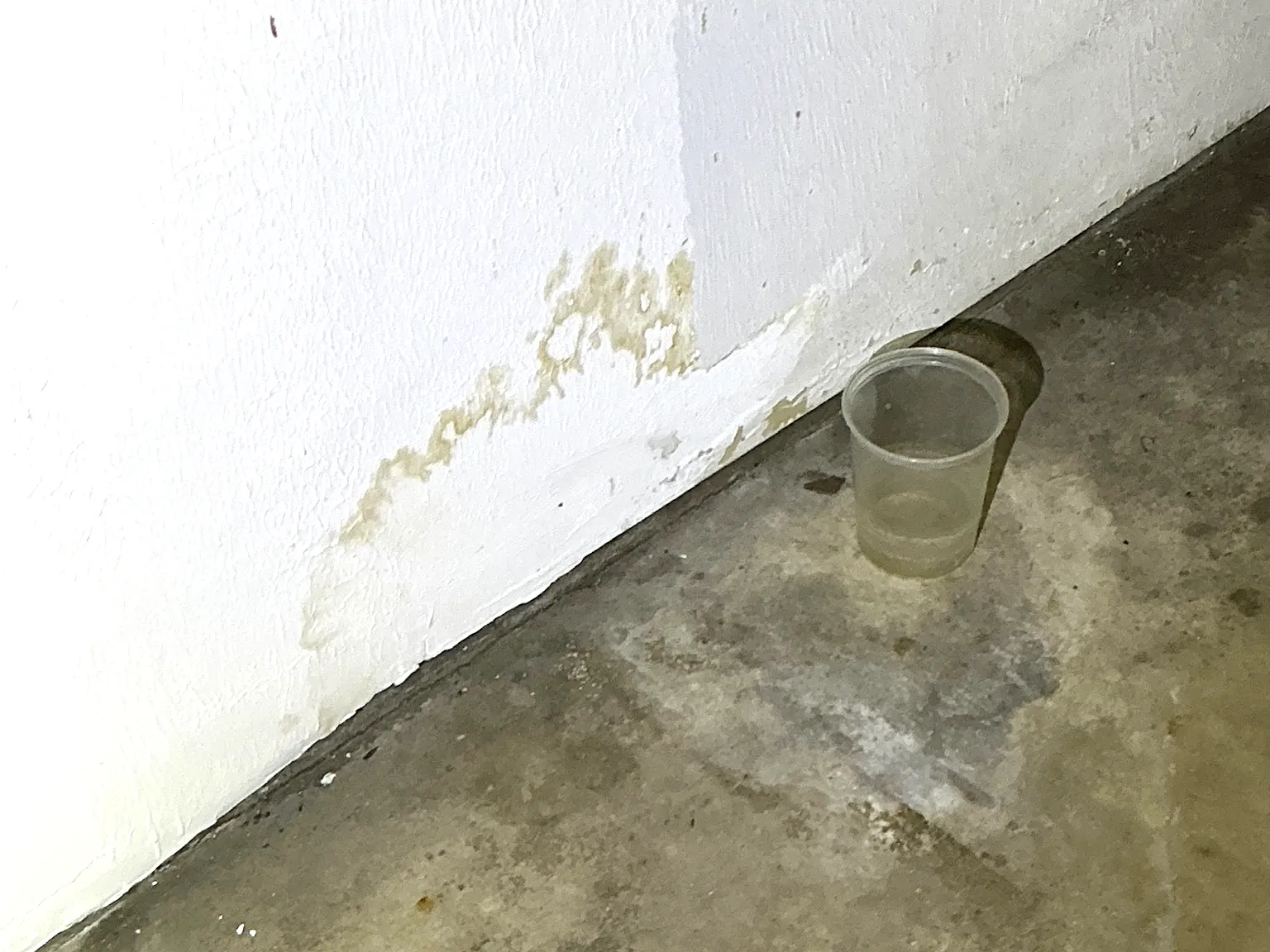 Mold found on a surface during an inspection in Edgewood.