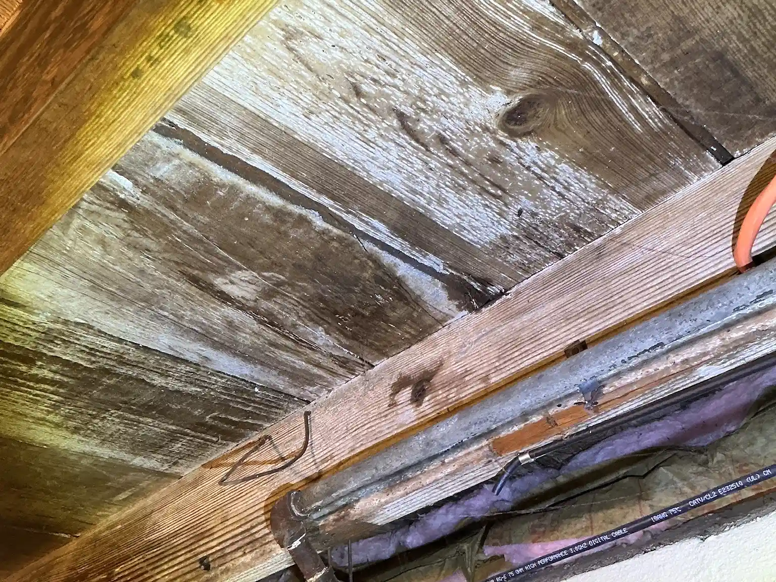 Mold inspection in Euclid Heights.
