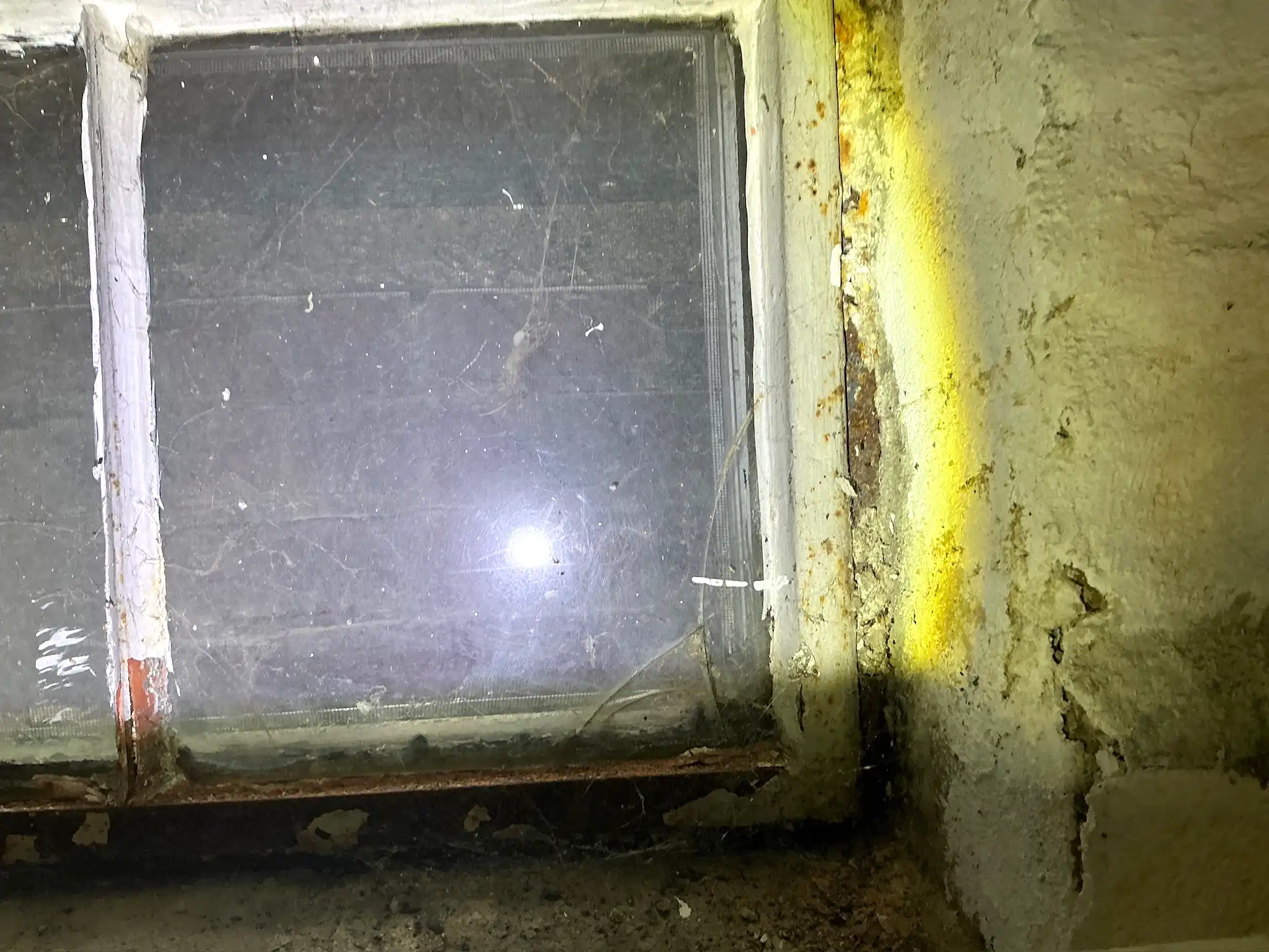 Mold found during a home inspection in Euclid Heights.