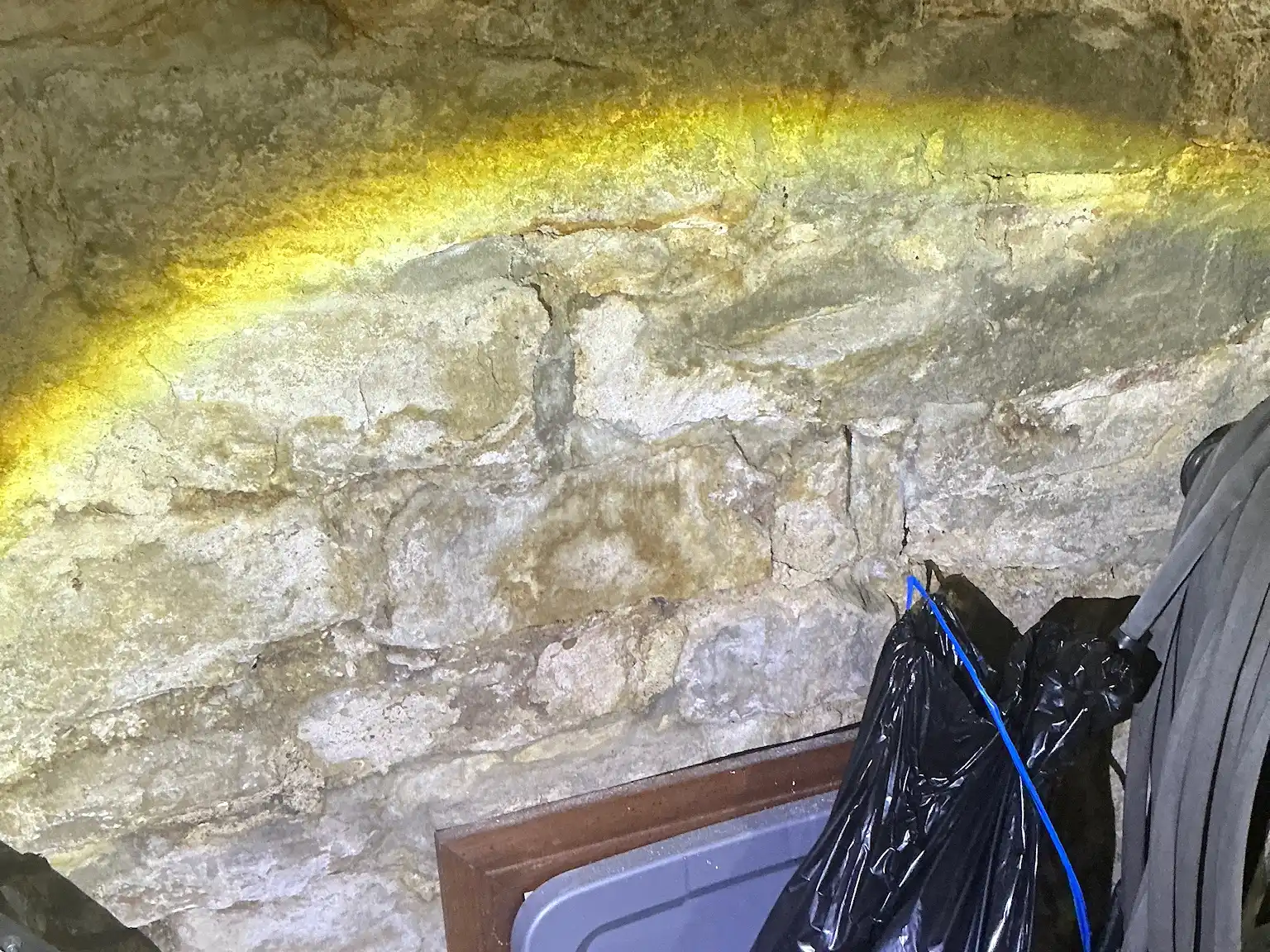 Mold inspection in Euclid.
