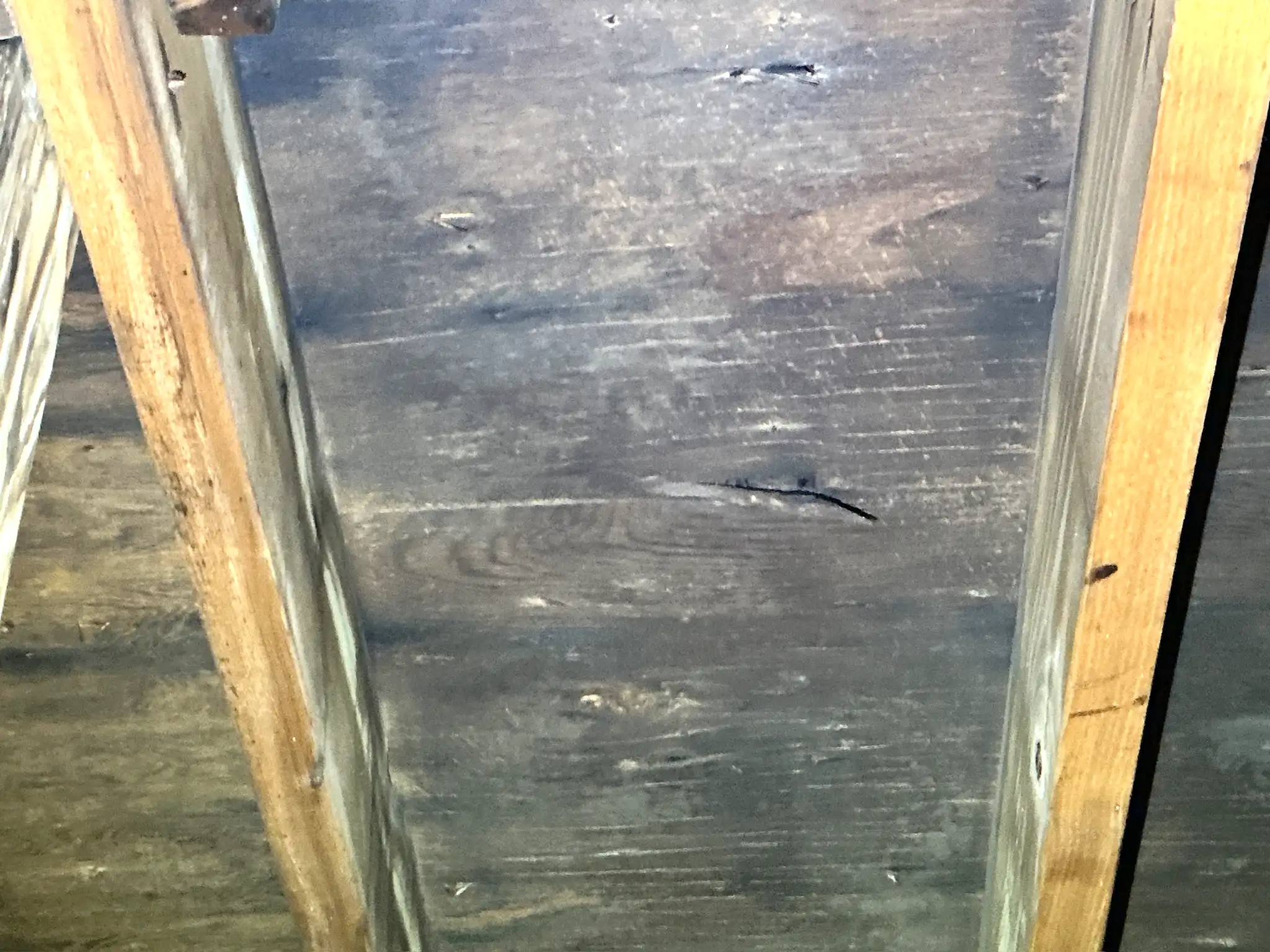 Mold found during a home inspection in Euclid.