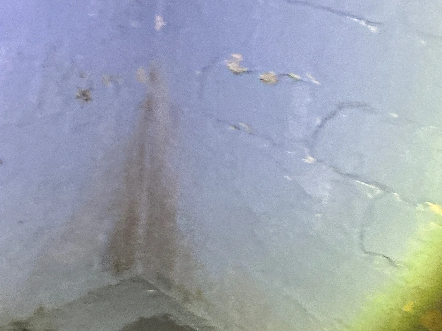 Mold found during a commercial mold inspection in Euclid.