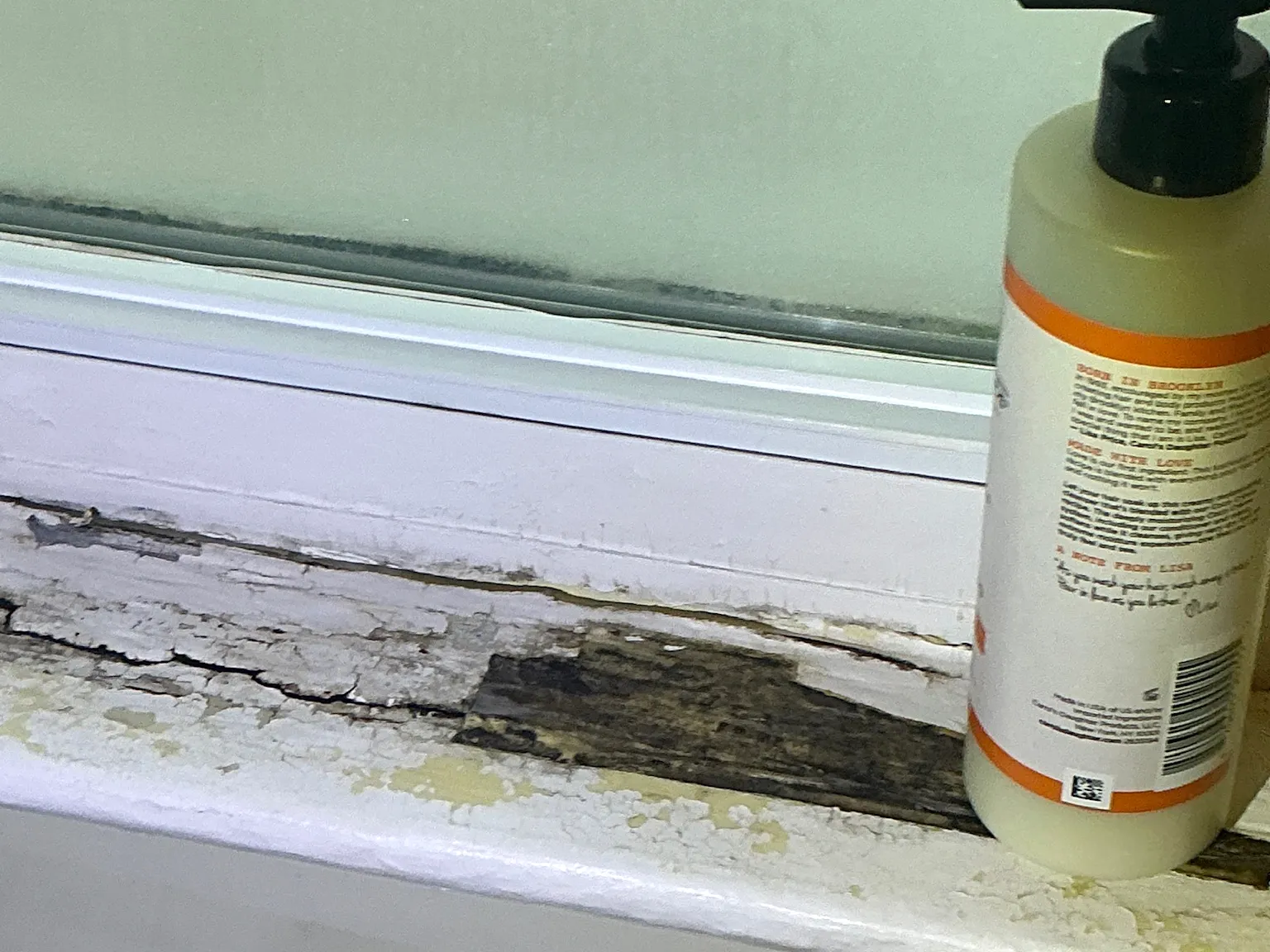 Mold inspection in Fairlawn.