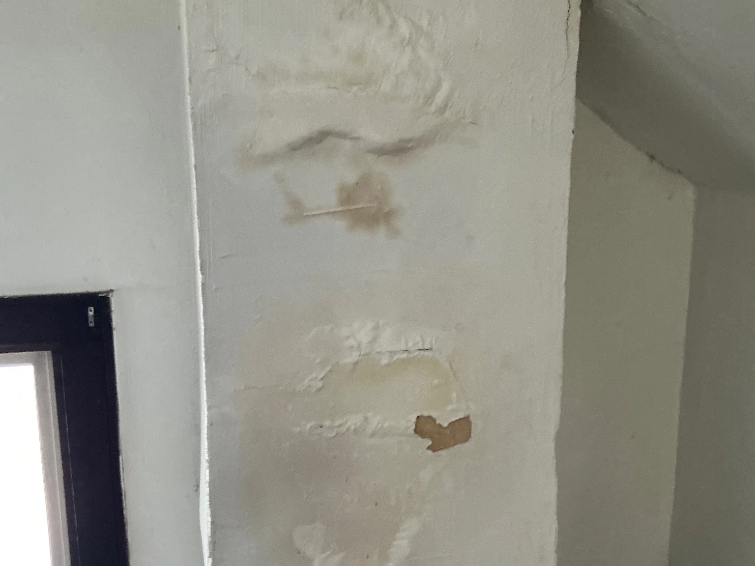 Our mold inspector found this surface mold in Fairlawn.