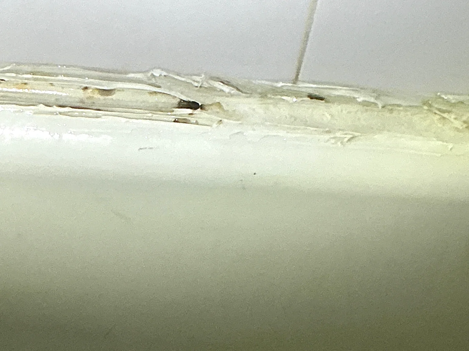 Look at what our mold inspector found in Fairport Harbor..