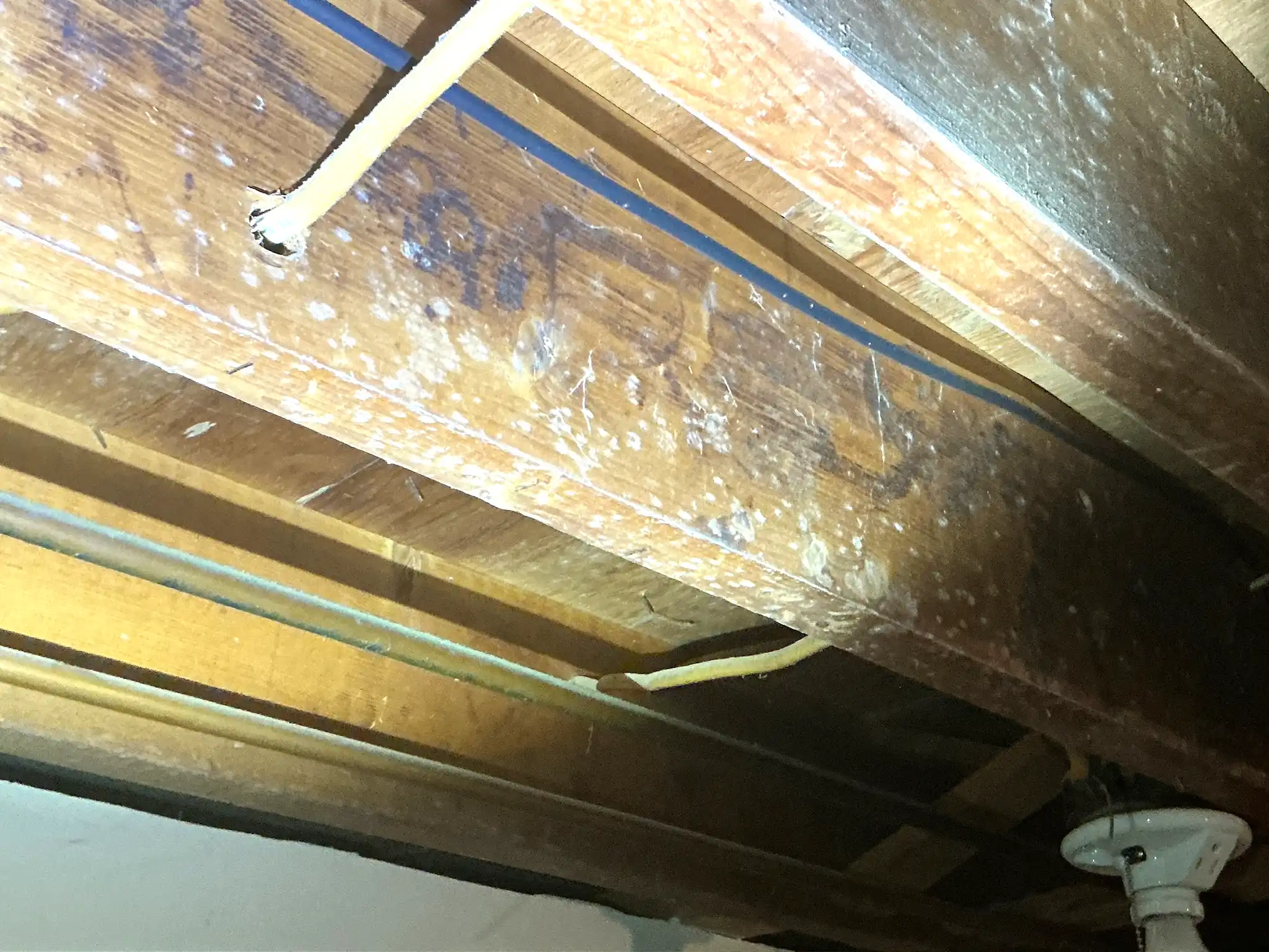 Mold inspection in Fairport Harbor.