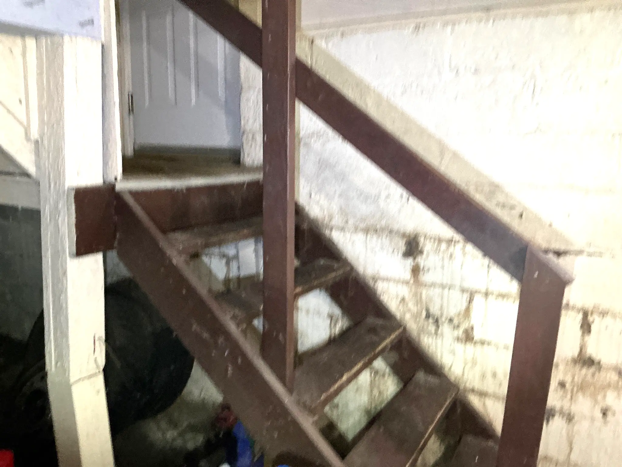 Mold found during a commercial mold inspection in Fairport Harbor.