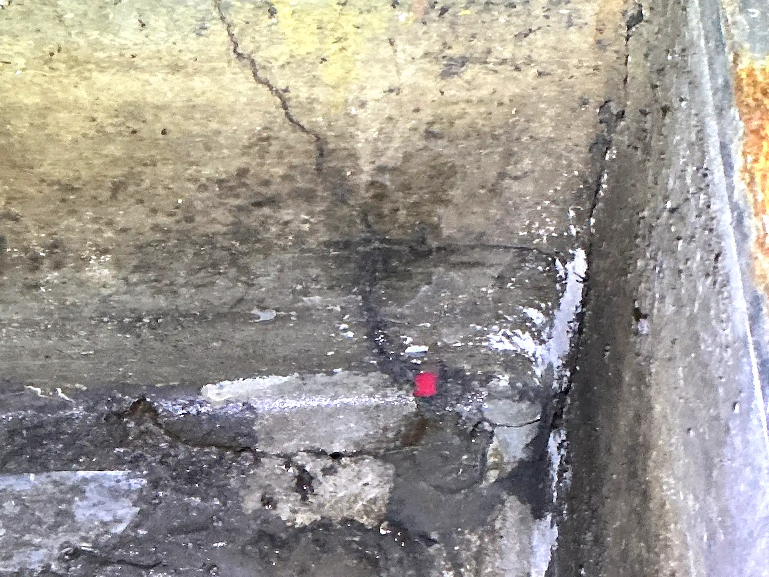 Look at what our mold inspector found in Garfield Heights..