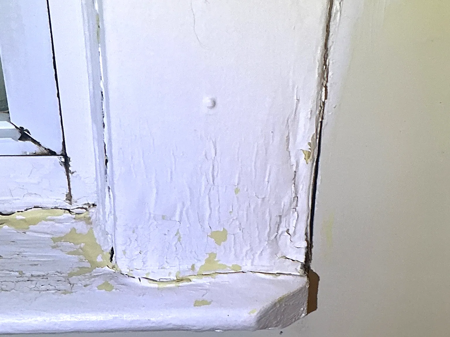 Mold found on a surface during an inspection in Garfield Heights.