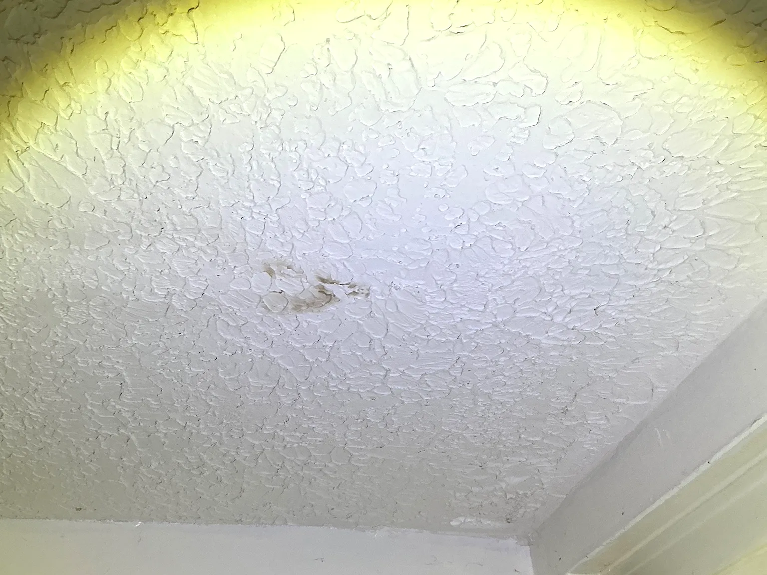 Mold inspection in Garfield Heights.