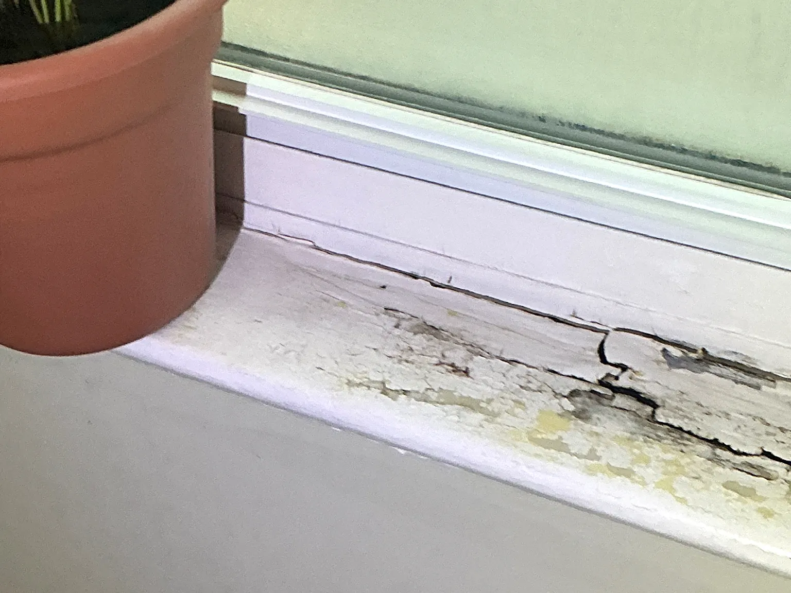 Our mold inspector found this surface mold in Garfield Heights.