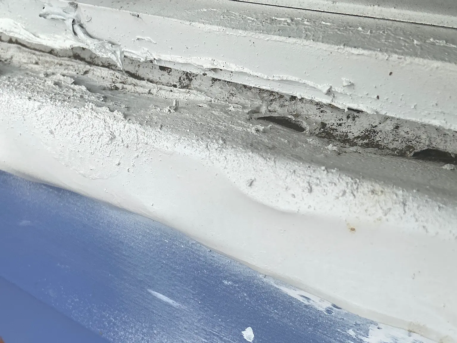 Mold found on a surface during an inspection in Garrettsville.
