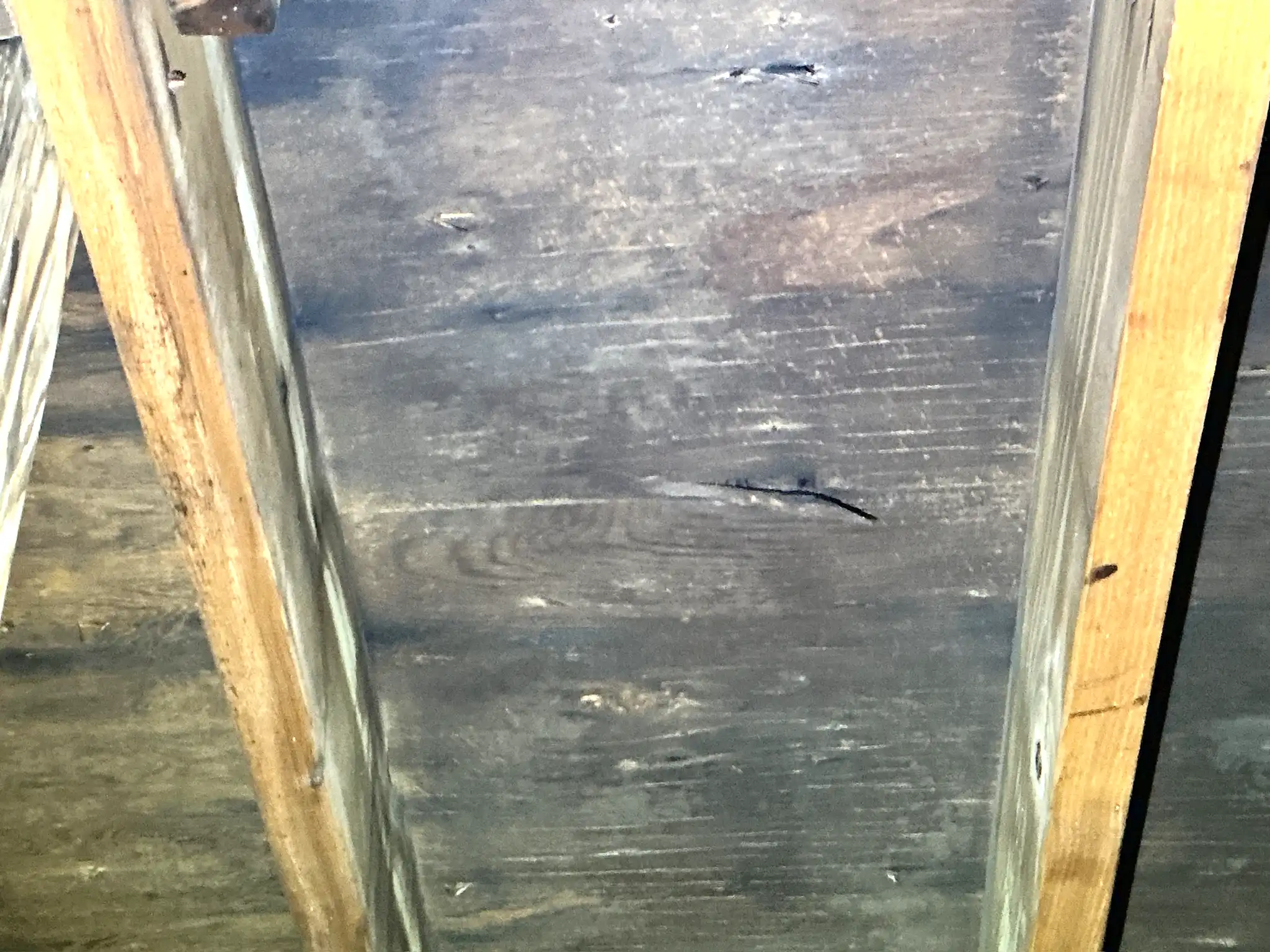 Mold inspection in Garrettsville.