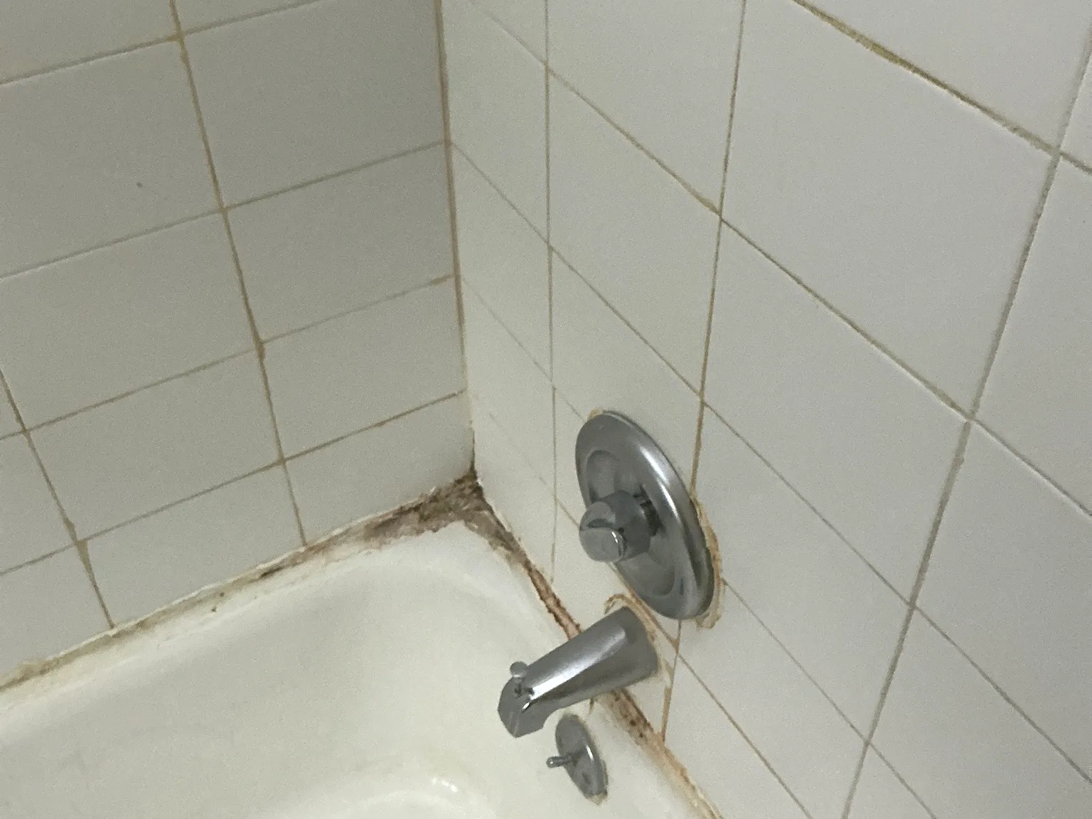Our mold inspector found this surface mold in Garrettsville.