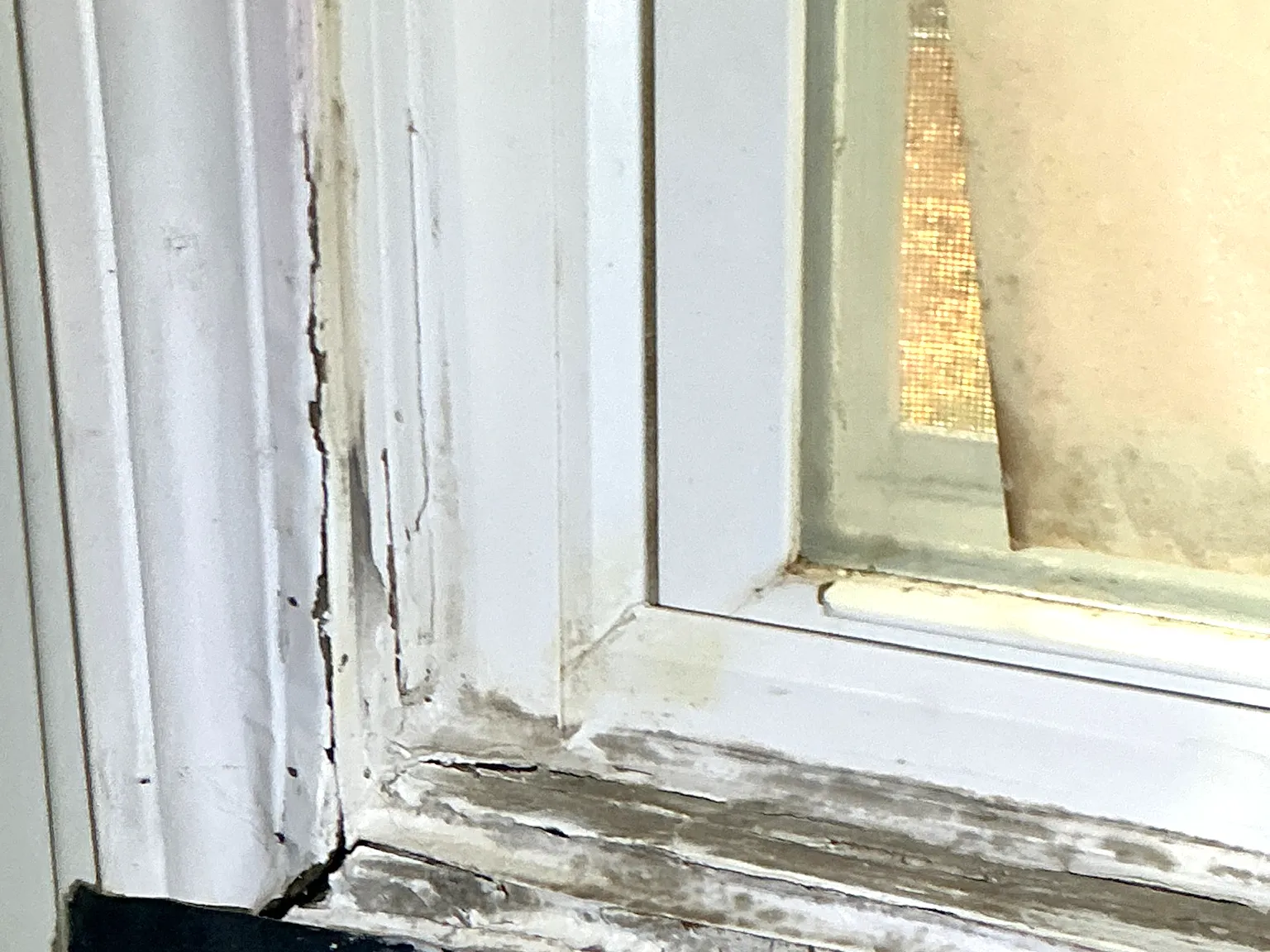 Mold found during a commercial mold inspection in Garrettsville.