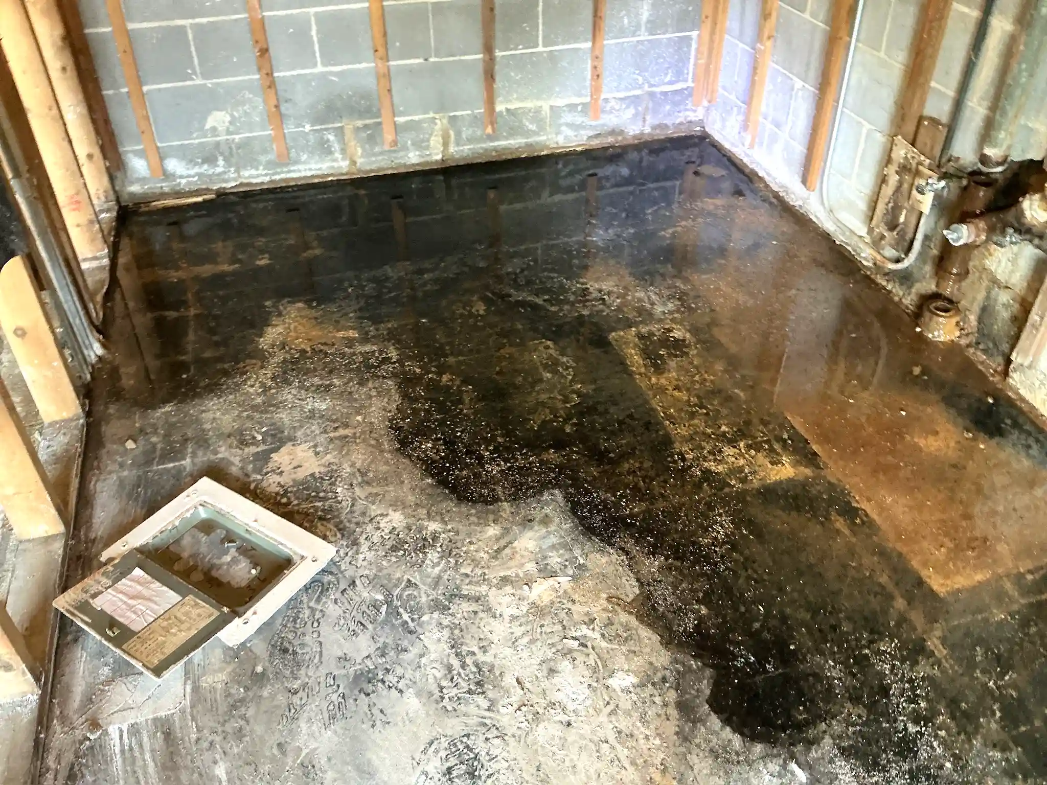 Look at what our mold inspector found in Gates Mills..