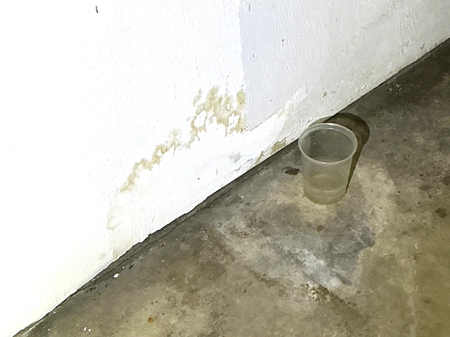 Mold found on a surface during an inspection in Gates Mills.