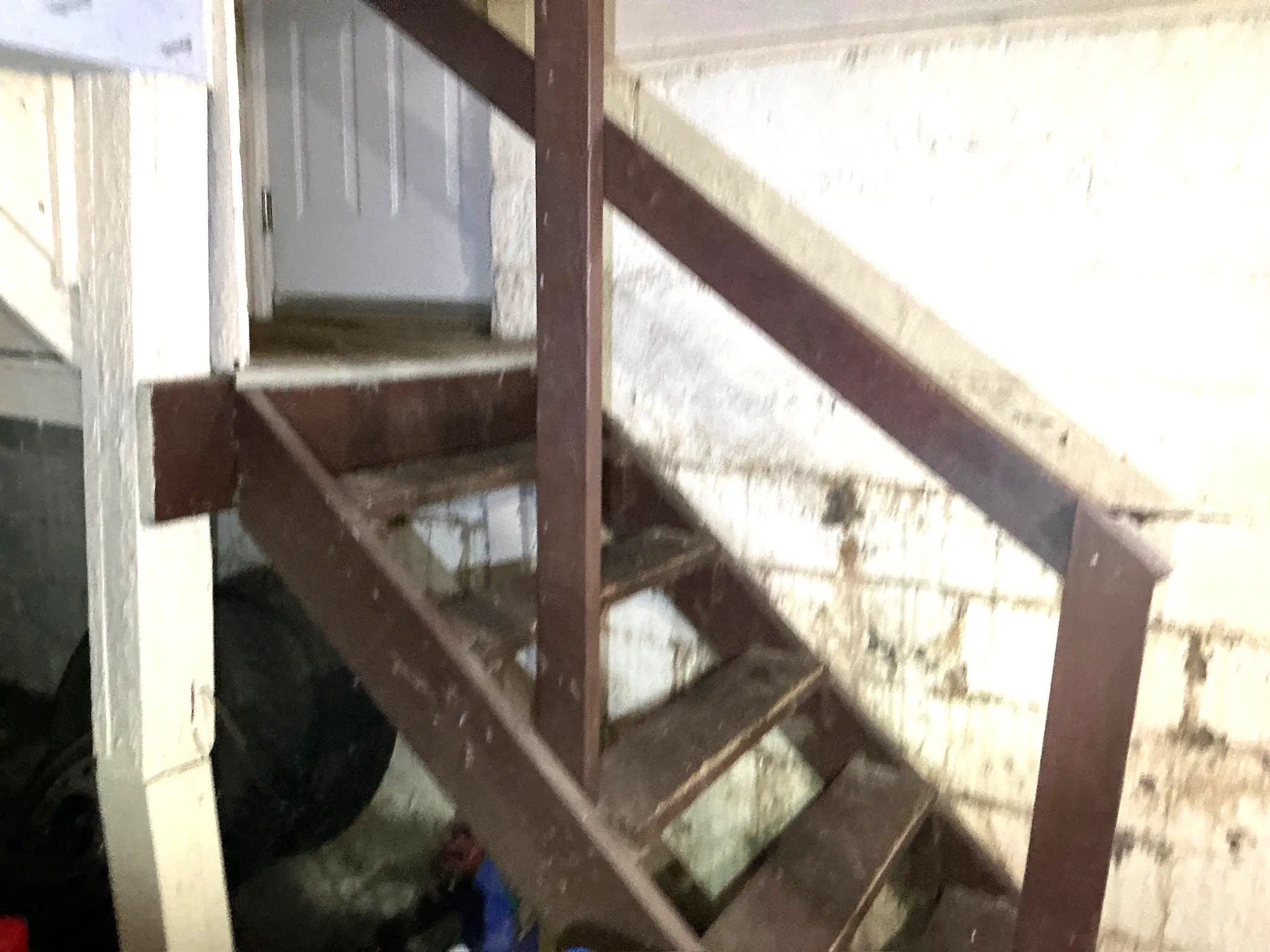 Mold inspection in Gates Mills.