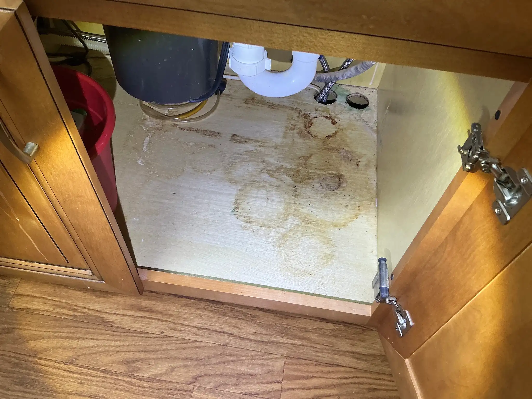 Our mold inspector found this surface mold in Genoa.