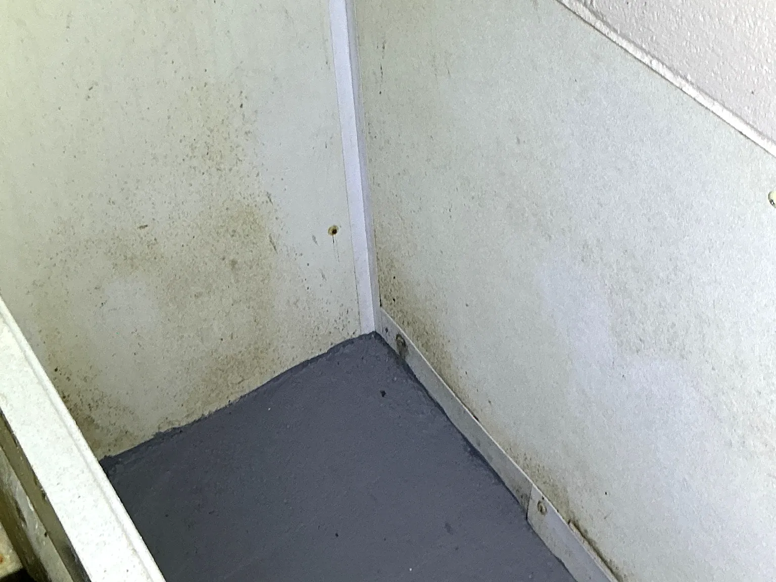 Mold inspection in Germantown.