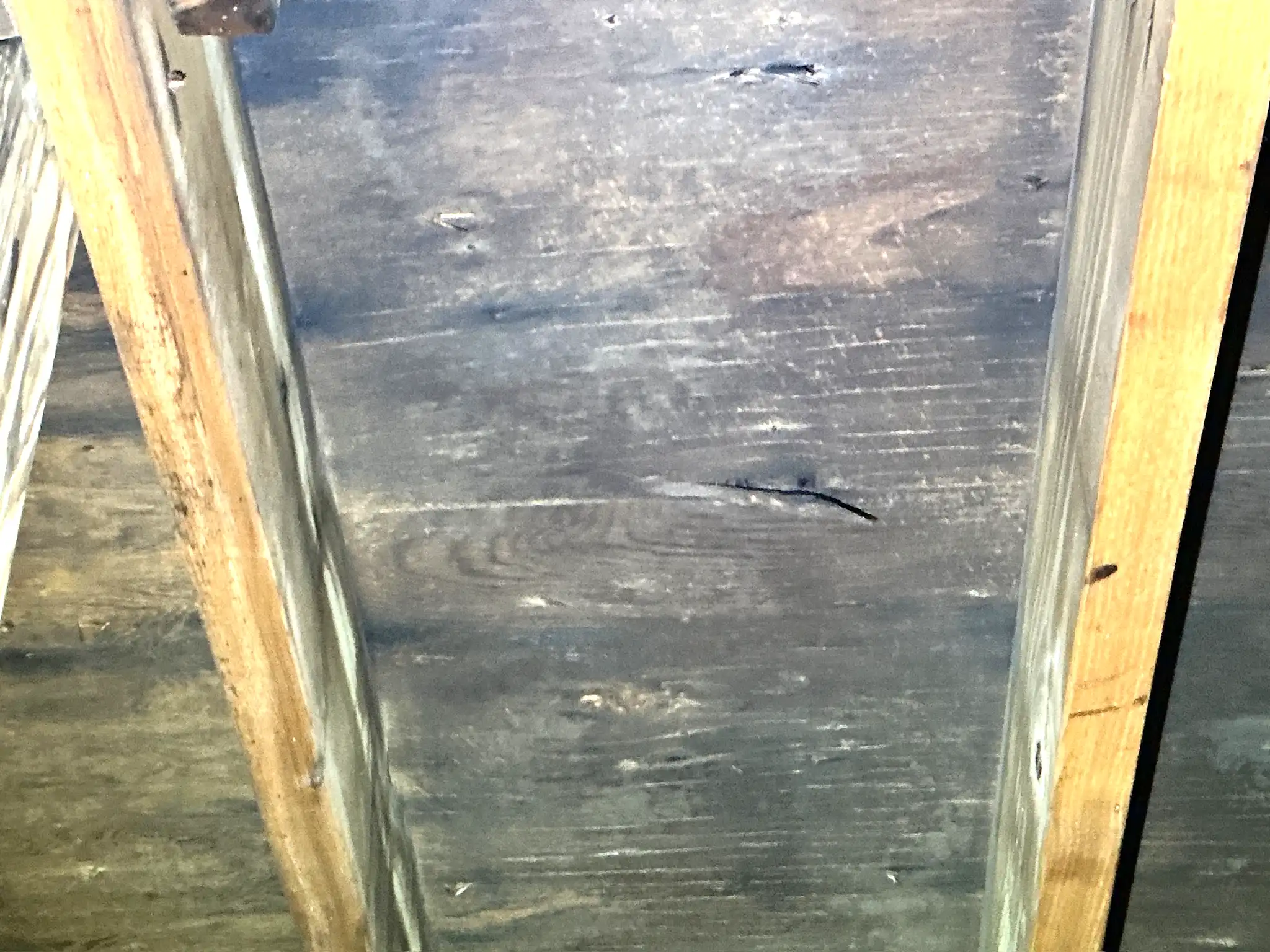 Mold found during a home inspection in Germantown.