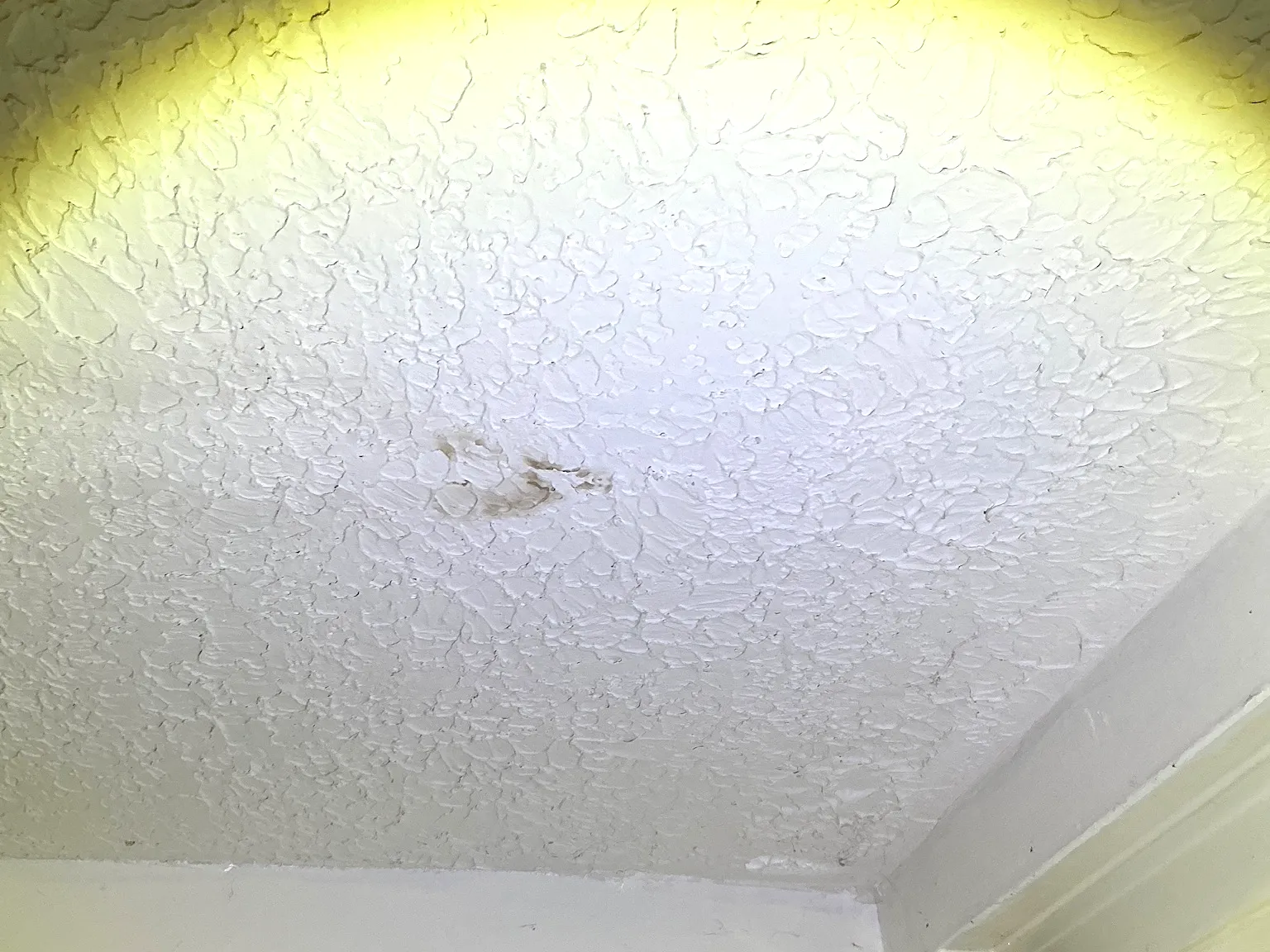 Look at what our mold inspector found in Girard..
