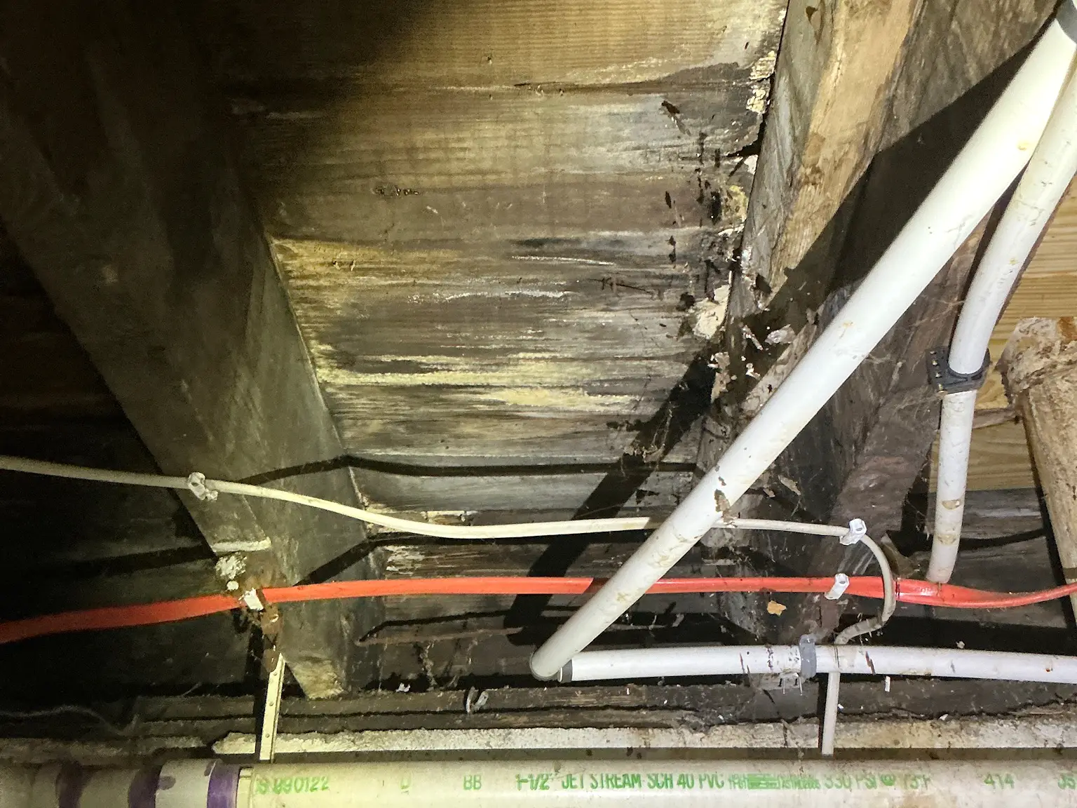 Mold inspection in Girard.