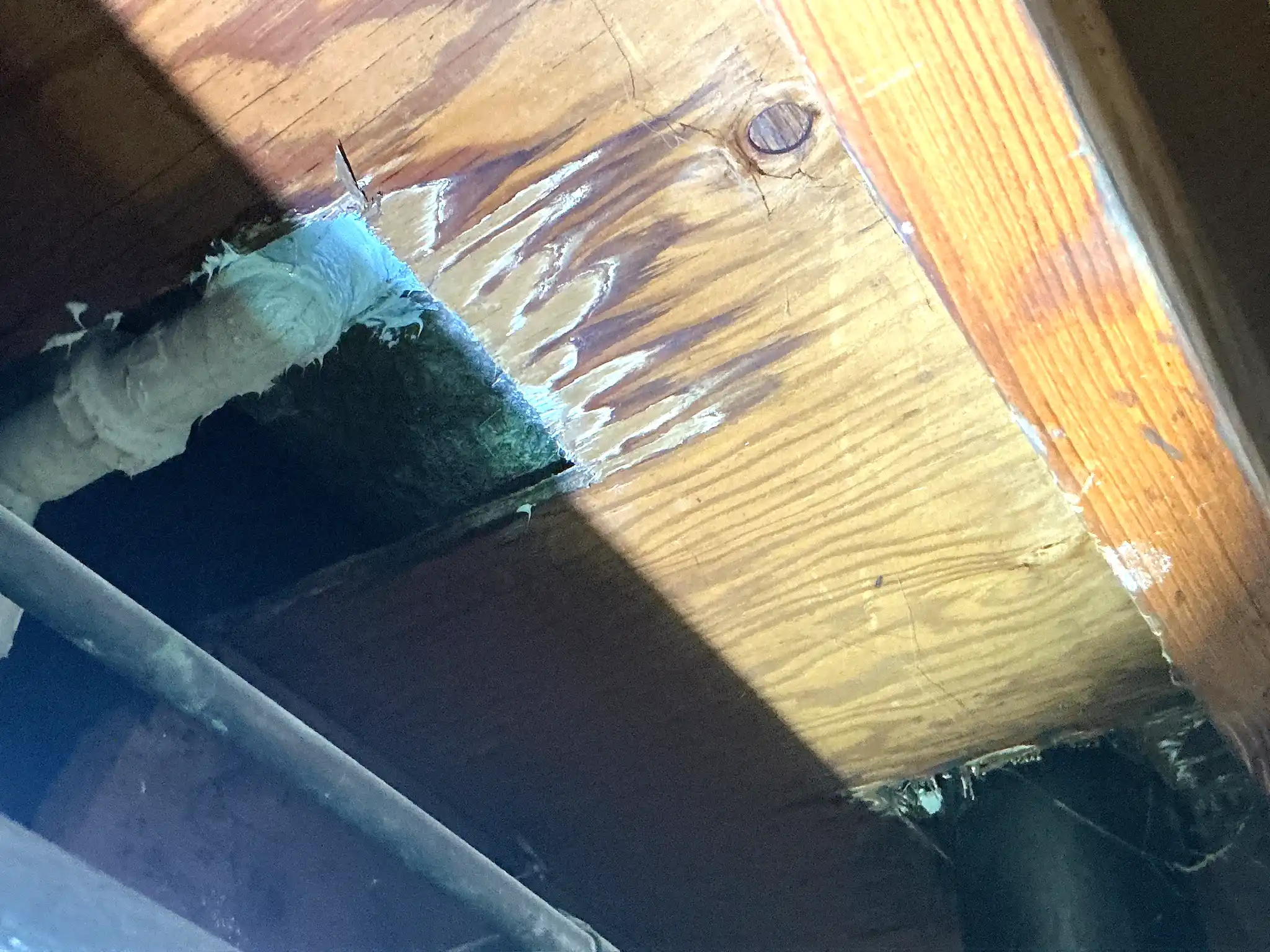 Mold found on a surface during an inspection in Green.