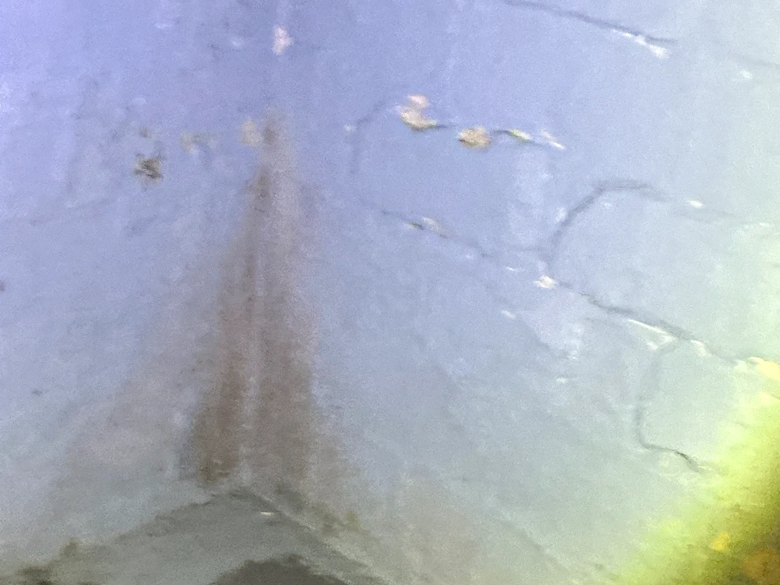 Our mold inspector found this surface mold in Green.