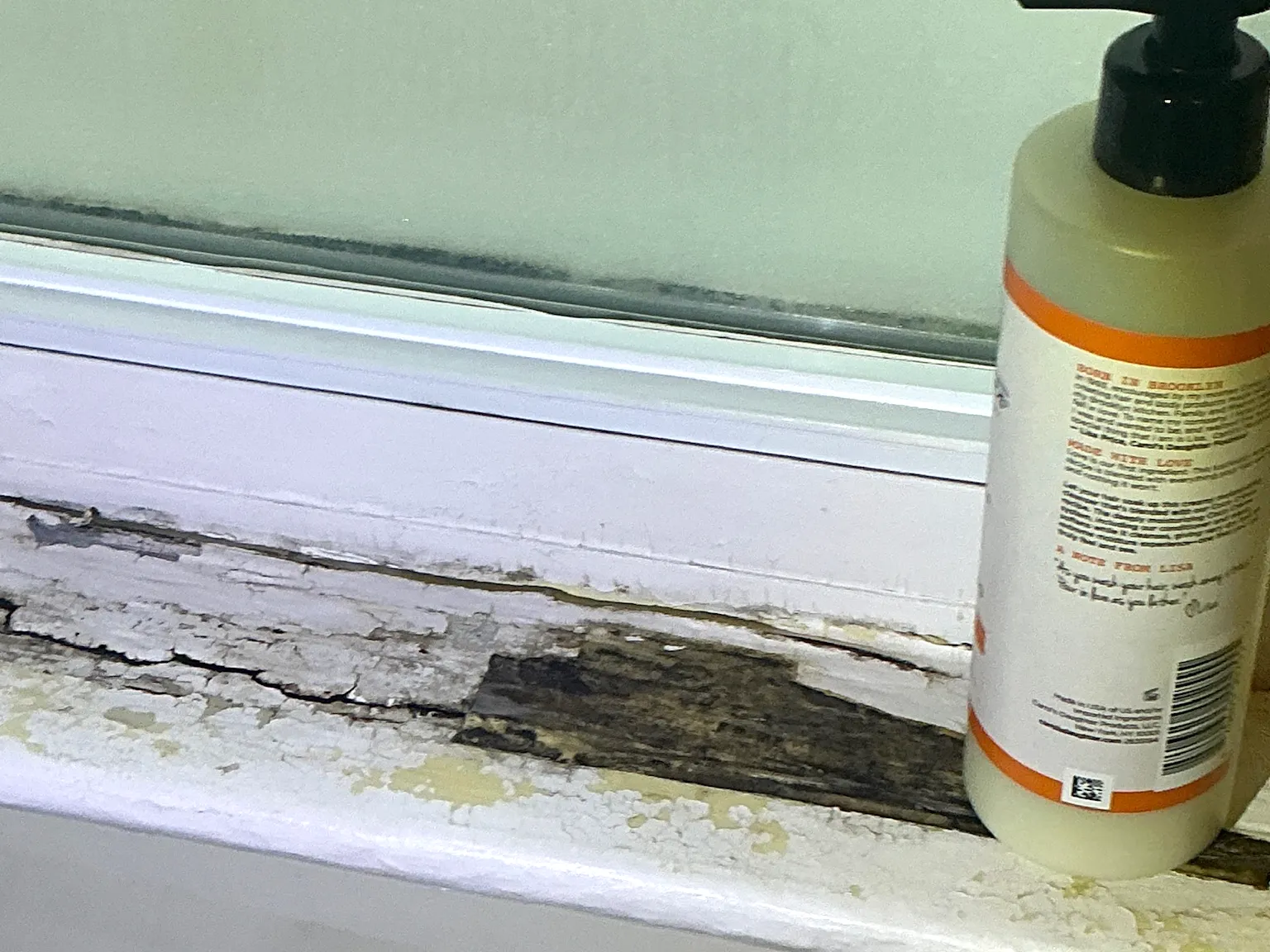 Mold found during a home inspection in Green.