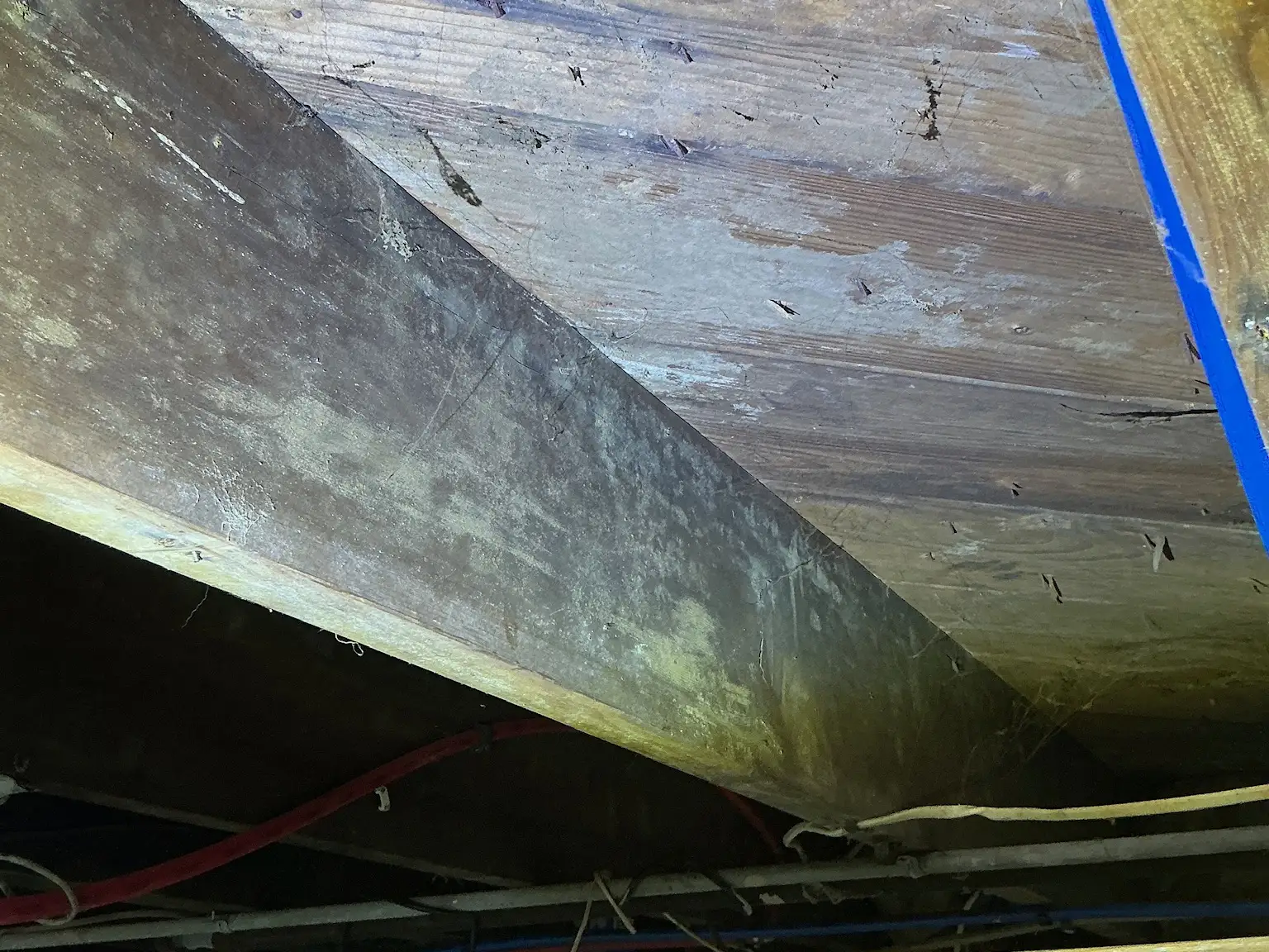 Look at what our mold inspector found in Greensburg..