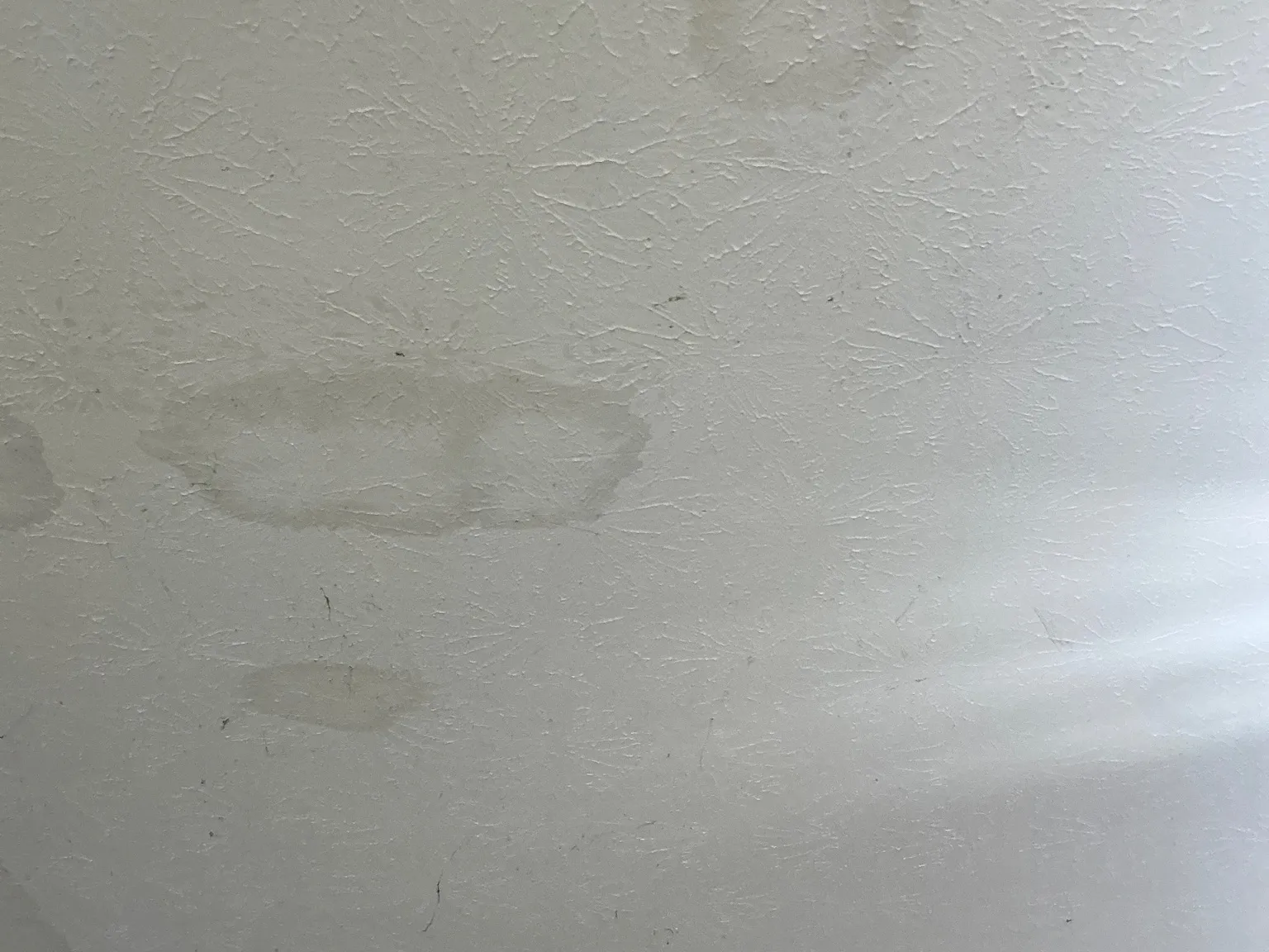Mold found on a surface during an inspection in Greensburg.