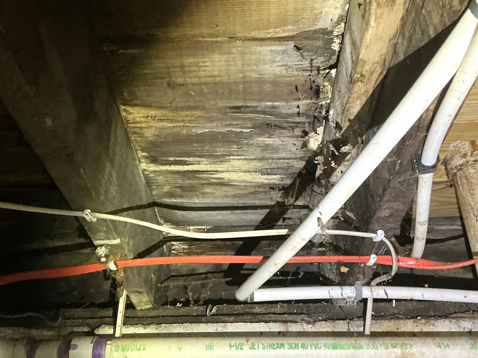 Our mold inspector found this surface mold in Greensburg.