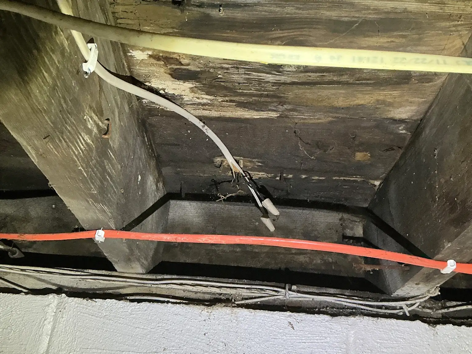 Mold found during a commercial mold inspection in Greensburg.
