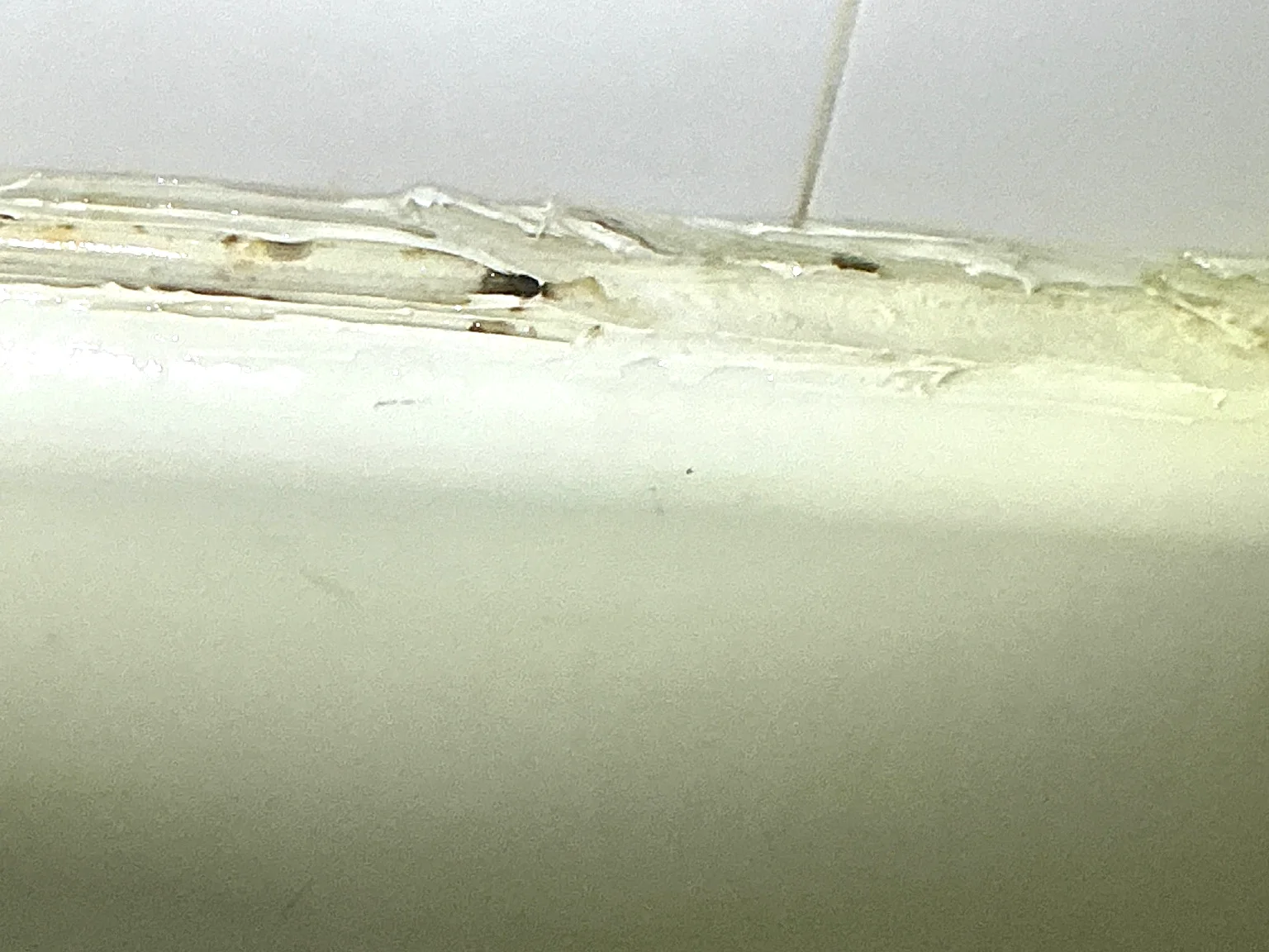 Look at what our mold inspector found in Hartville..