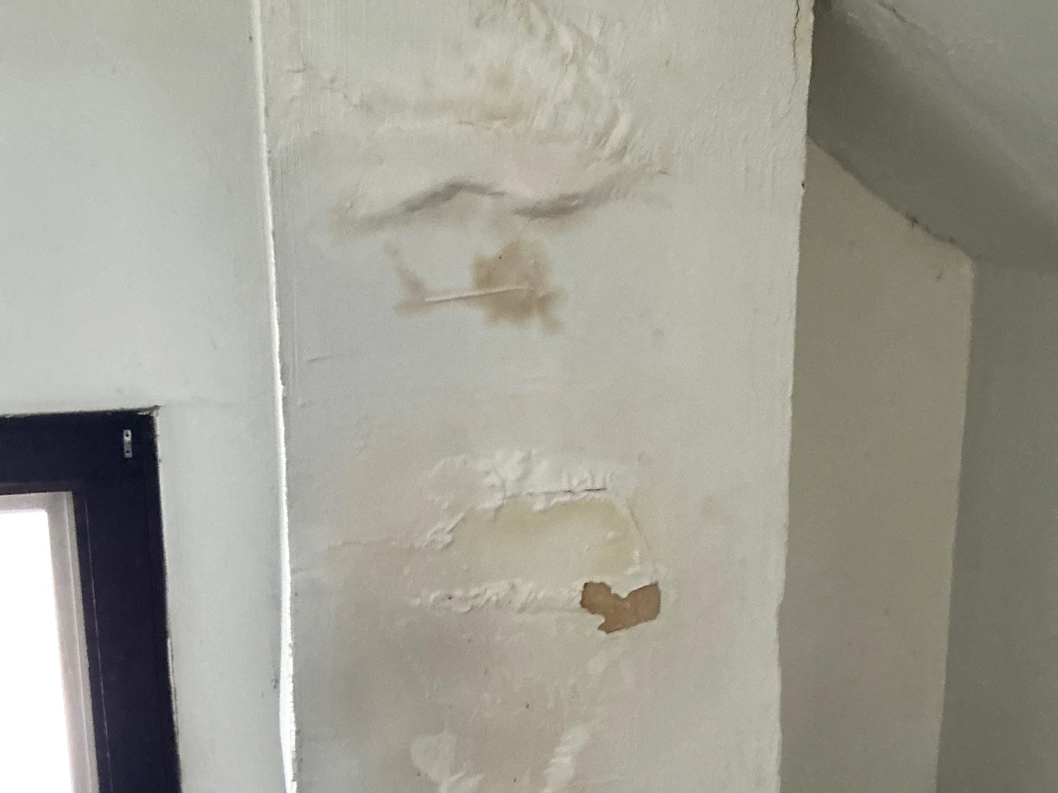 Mold inspection in Hartville.