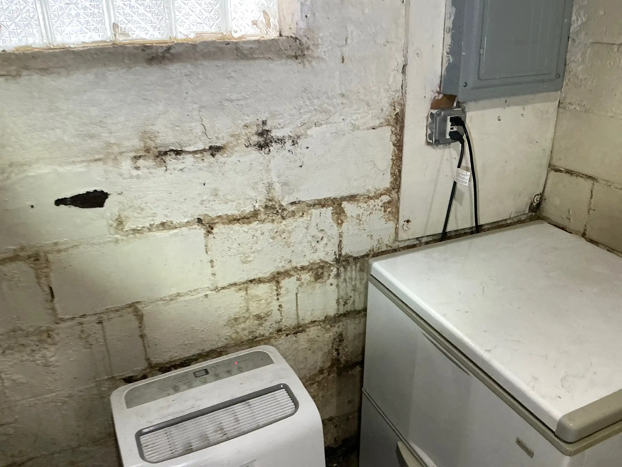 Mold found during a home inspection in Hartville.