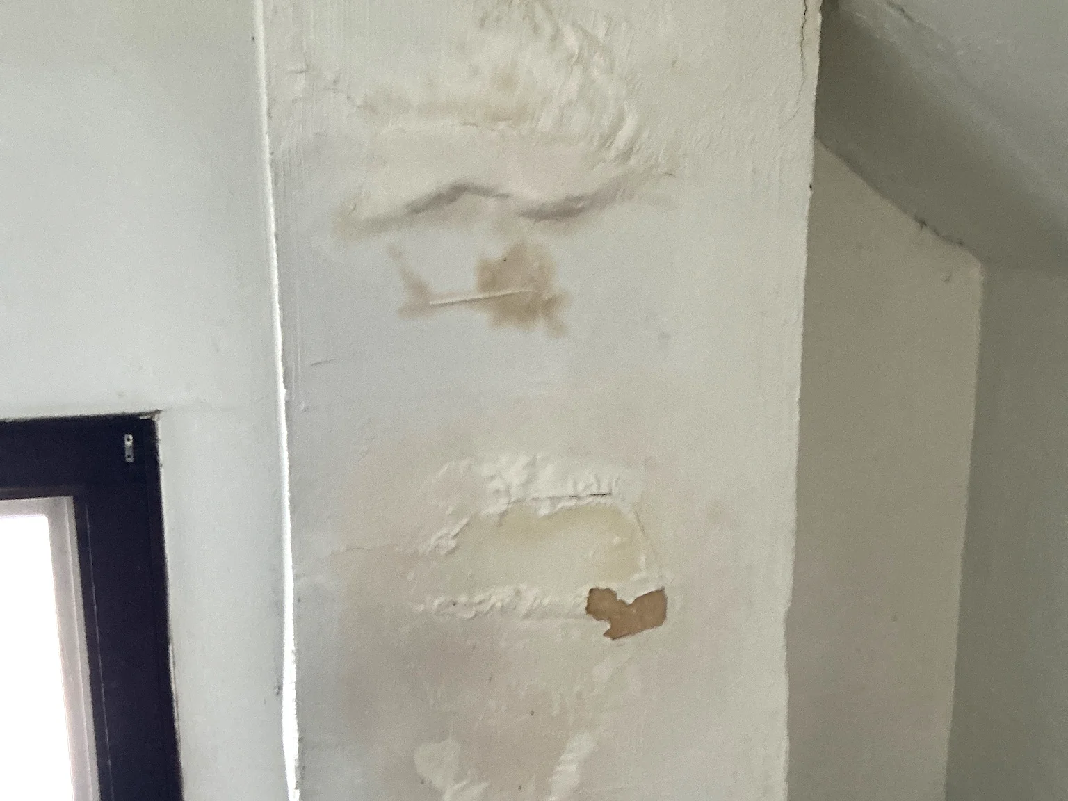 Mold found during a commercial mold inspection in Hartville.